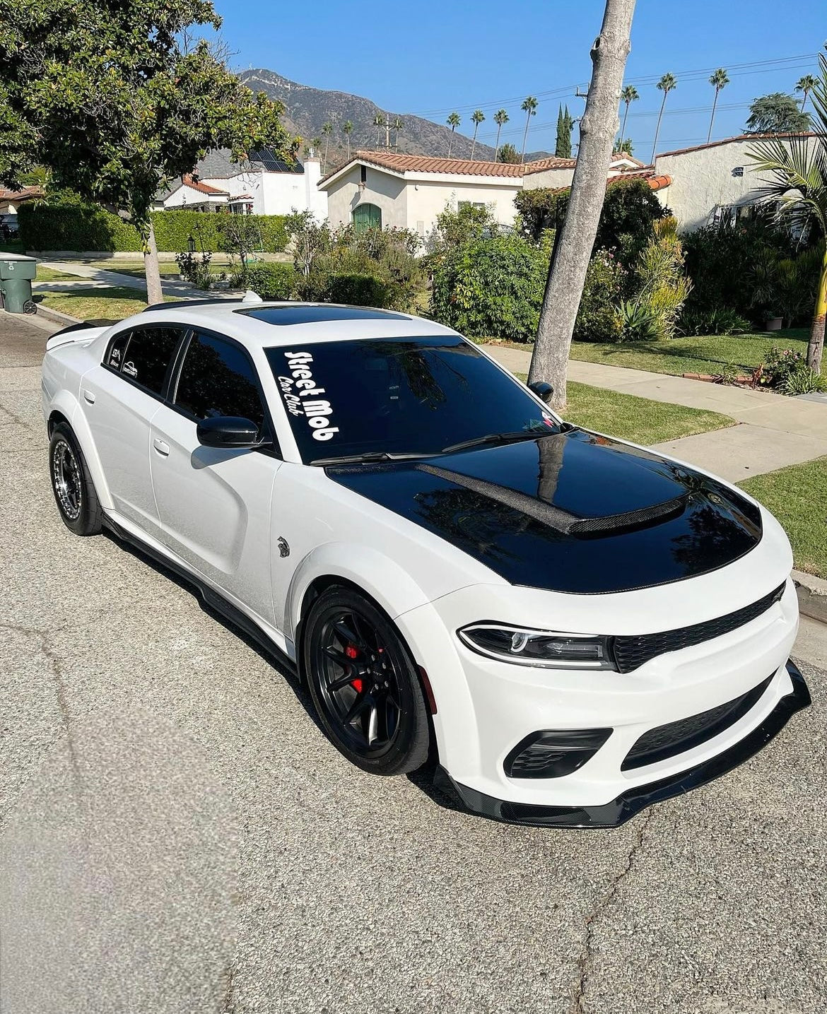 2015 - 2023 DODGE CHARGER TYPE-DM (DEMON STYLE) CARBON FIBER HOOD