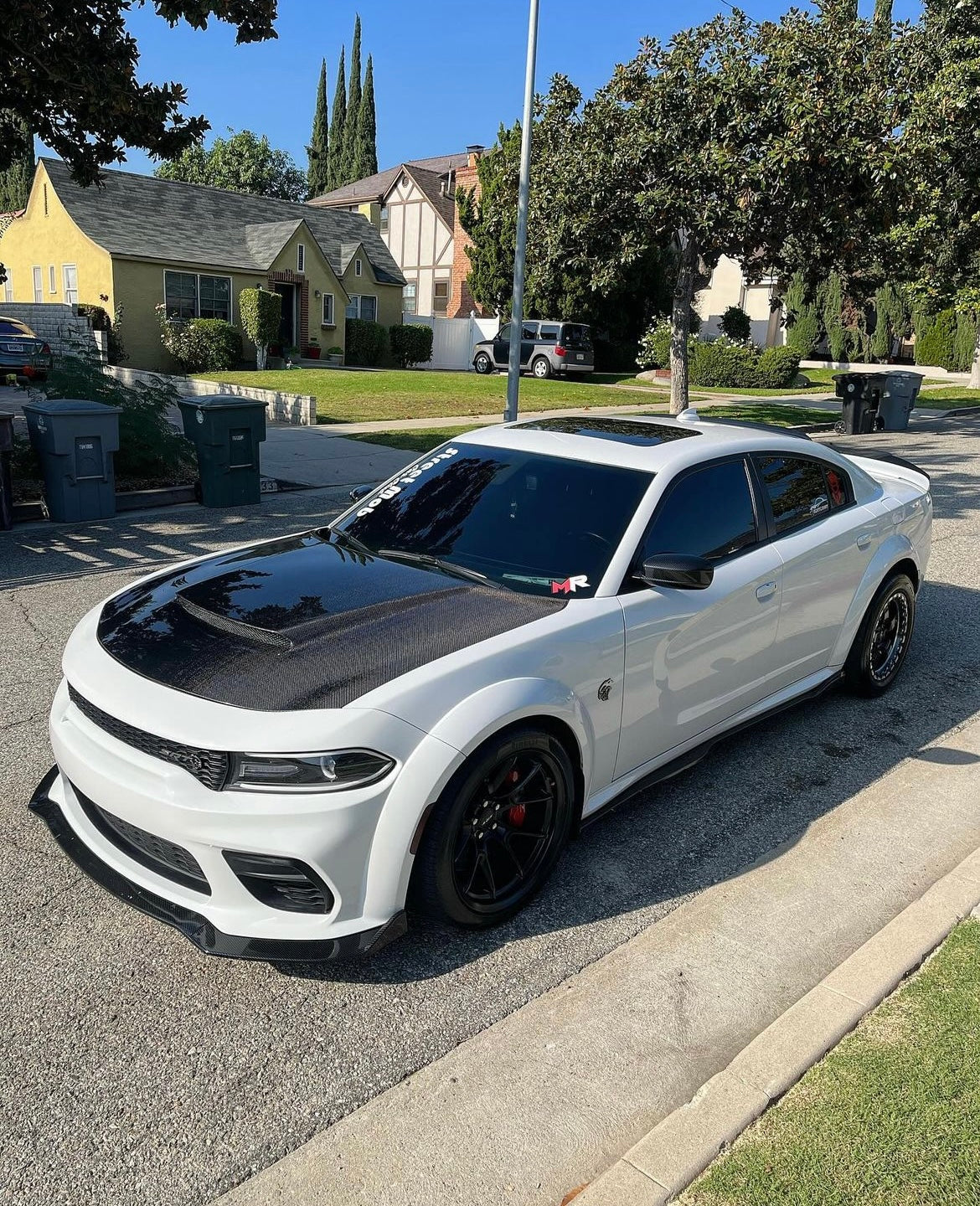 2015 - 2023 DODGE CHARGER TYPE-DM (DEMON STYLE) CARBON FIBER HOOD