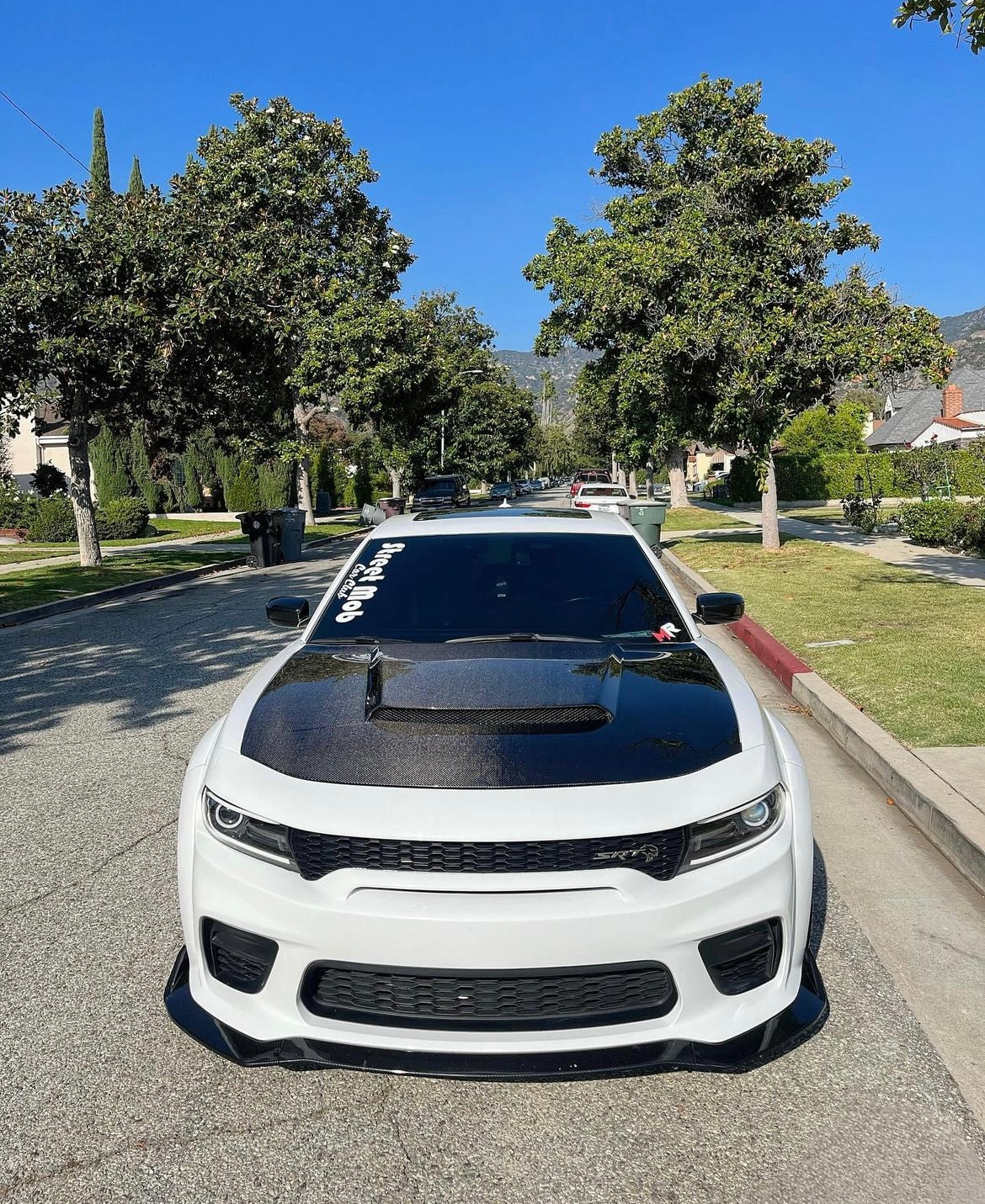2015 - 2023 DODGE CHARGER TYPE-DM (DEMON STYLE) CARBON FIBER HOOD