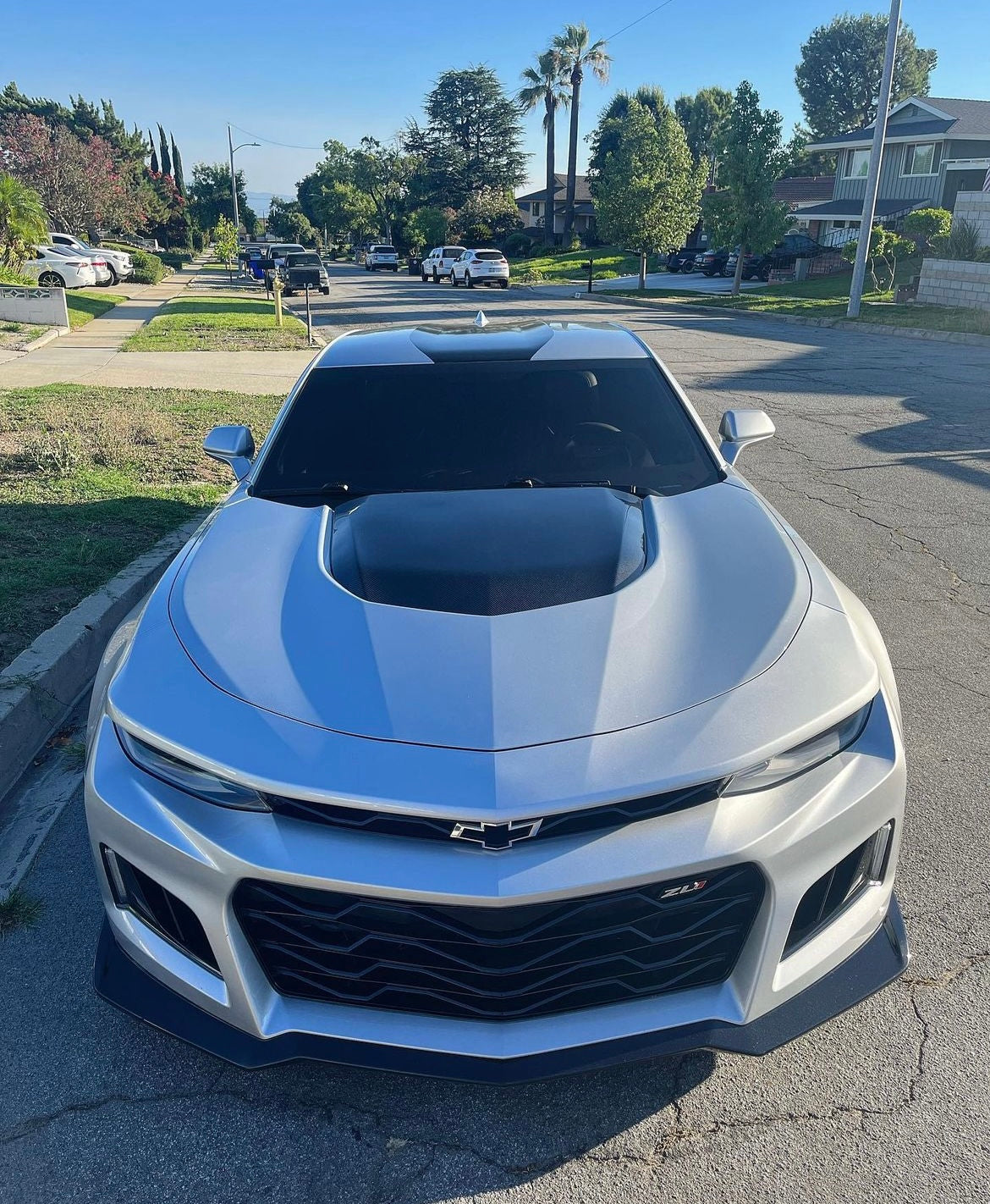 Anderson Composites 2017-2024 CAMARO ZL1 1LE TYPE-OE CARBON FIBER HOOD INSERT