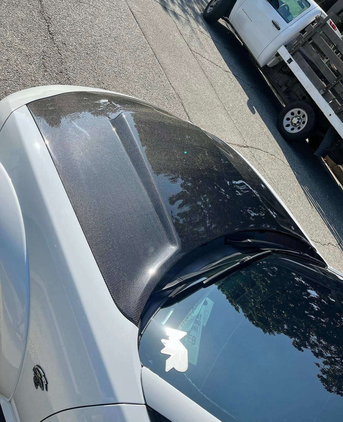 2015 - 2023 DODGE CHARGER TYPE-DM (DEMON STYLE) CARBON FIBER HOOD