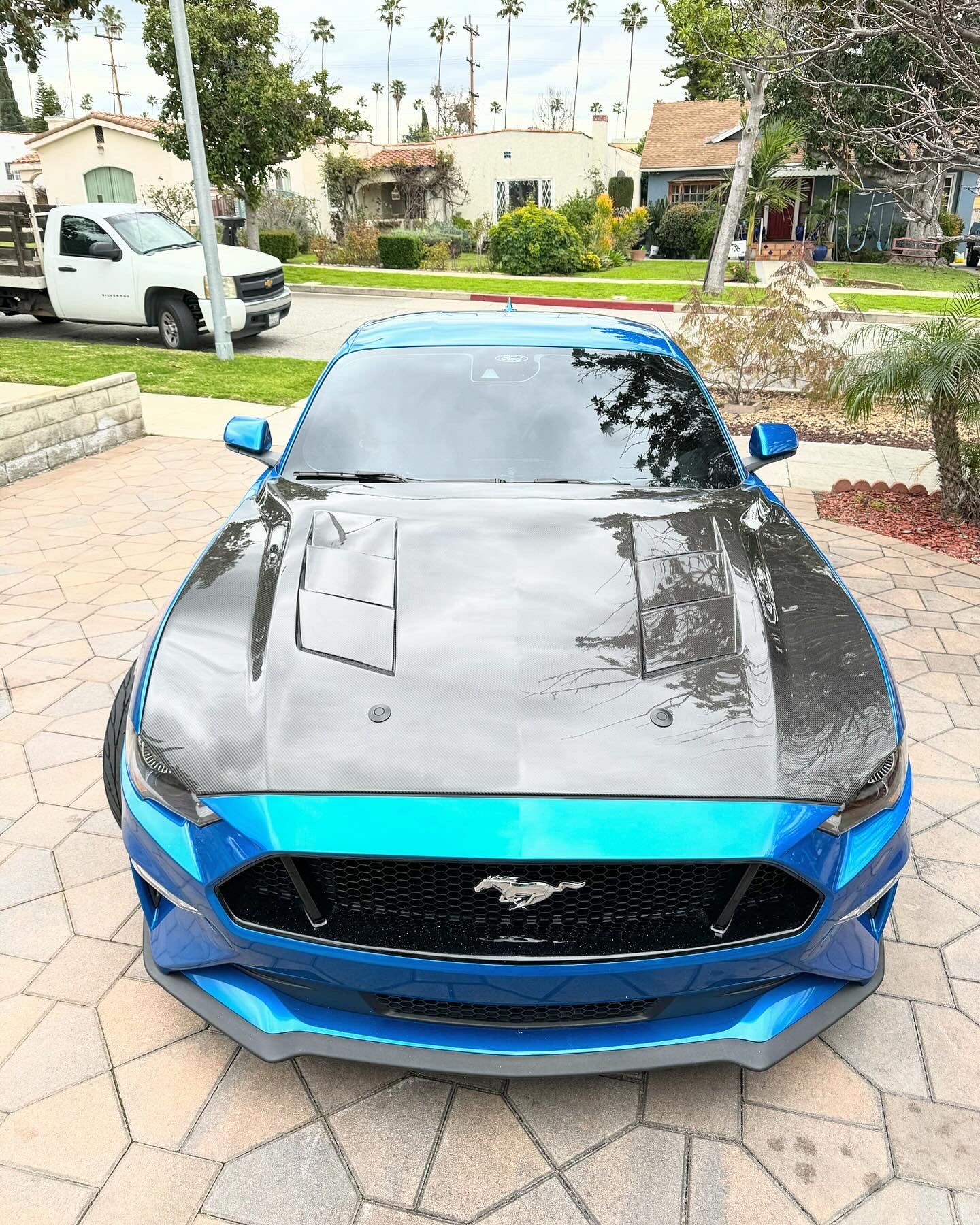 2018-2023 FORD MUSTANG TYPE-SA DOUBLE SIDED CARBON FIBER HEAT EXTRACTOR HOOD