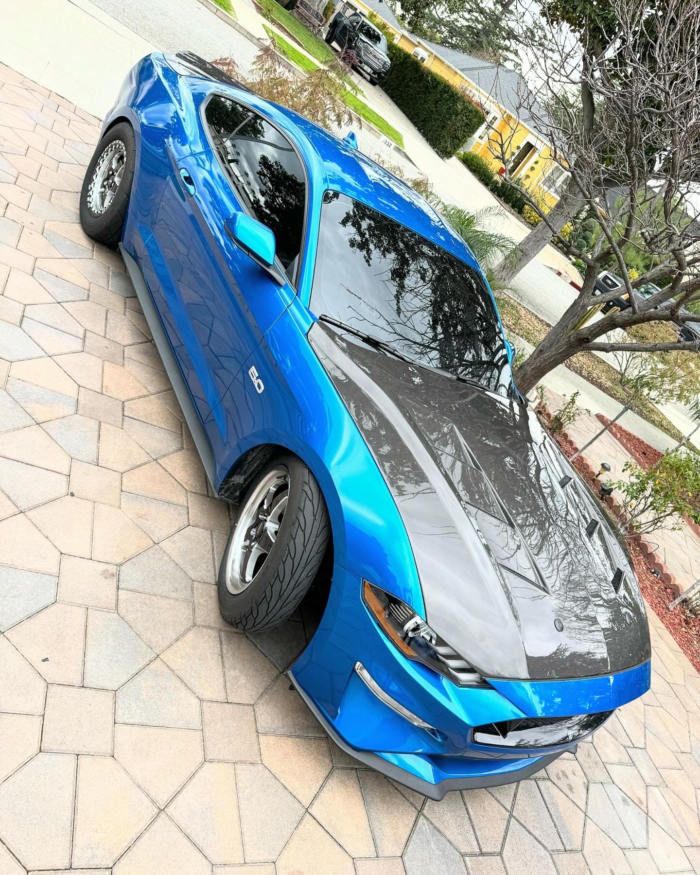 2018-2023 FORD MUSTANG TYPE-SA DOUBLE SIDED CARBON FIBER HEAT EXTRACTOR HOOD