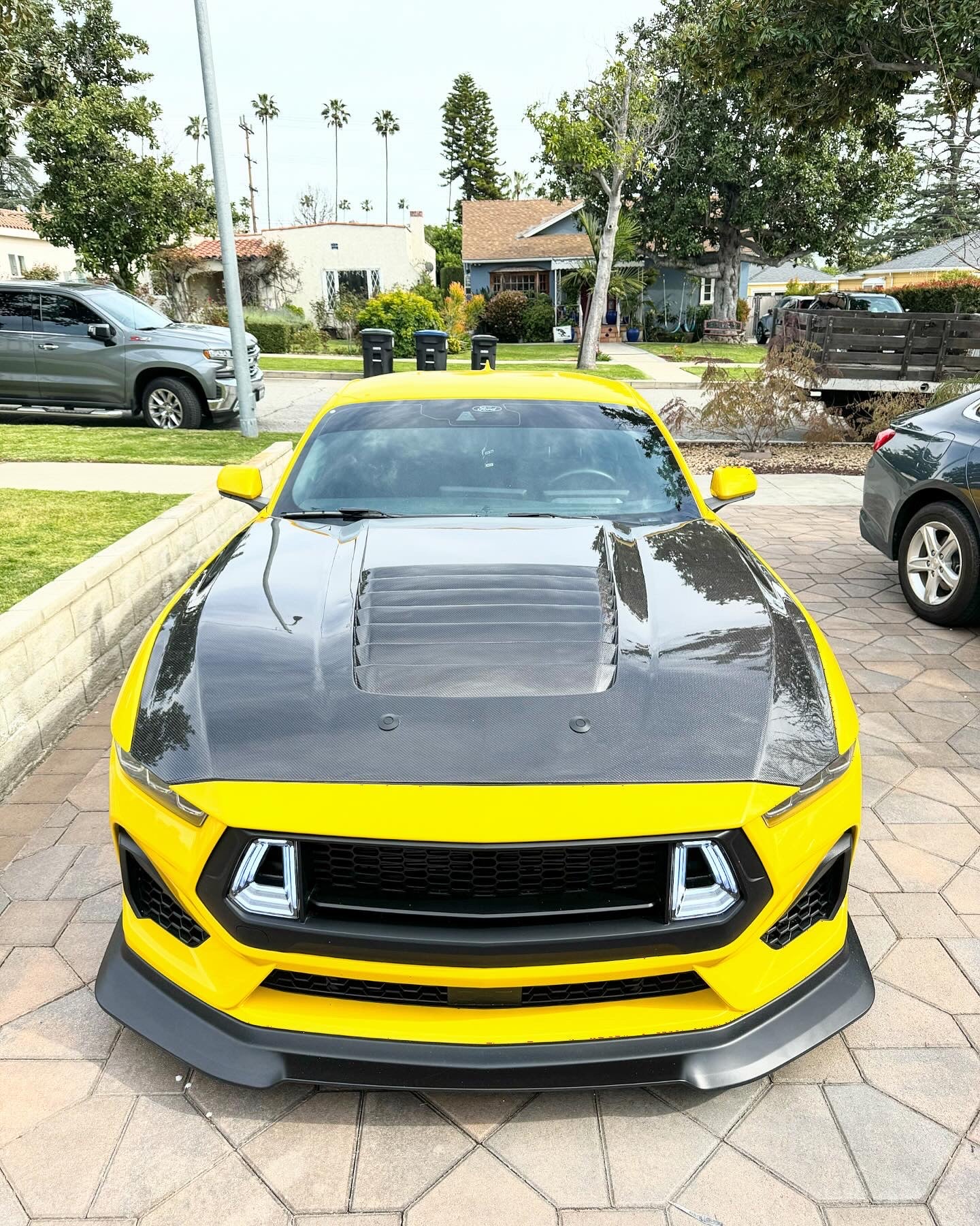 Anderson Composites 2024 FORD MUSTANG TYPE-GT5 DOUBLE-SIDED CARBON FIBER HOOD