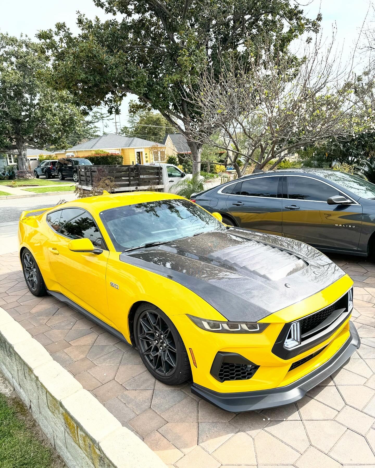 Anderson Composites 2024 FORD MUSTANG TYPE-GT5 DOUBLE-SIDED CARBON FIBER HOOD