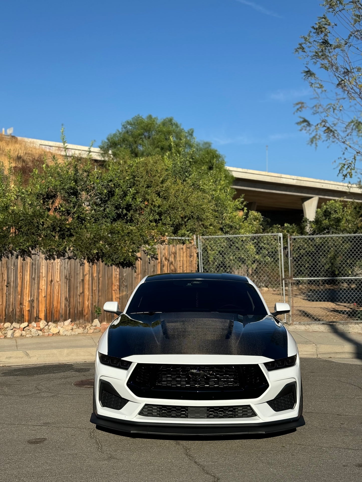 Anderson Composites 2024 FORD MUSTANG TYPE-GT5 DOUBLE-SIDED CARBON FIBER HOOD