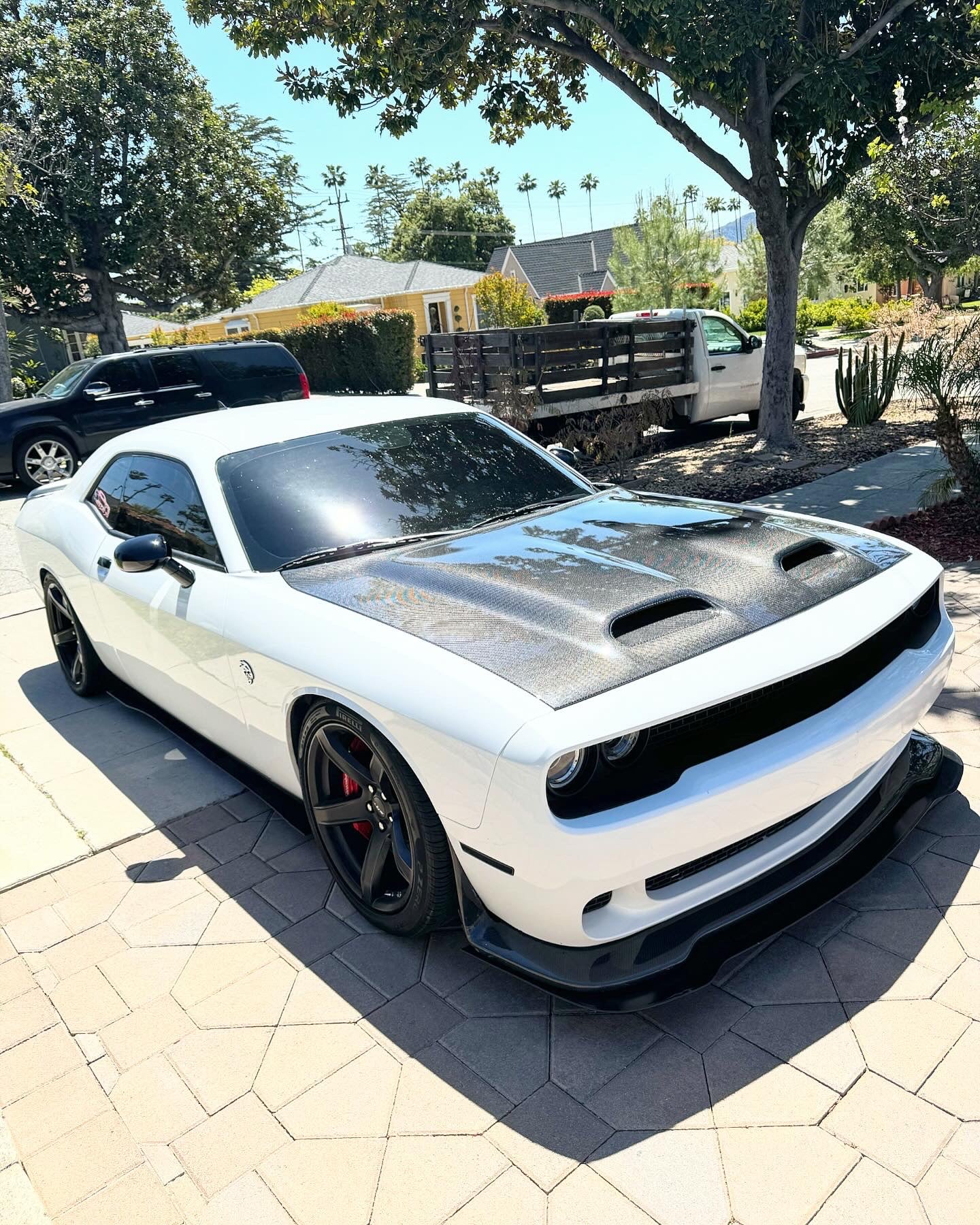 Anderson Composites 2019-2023 DODGE CHALLENGER HELLCAT REDEYE TYPE-RE CARBON FIBER HOOD