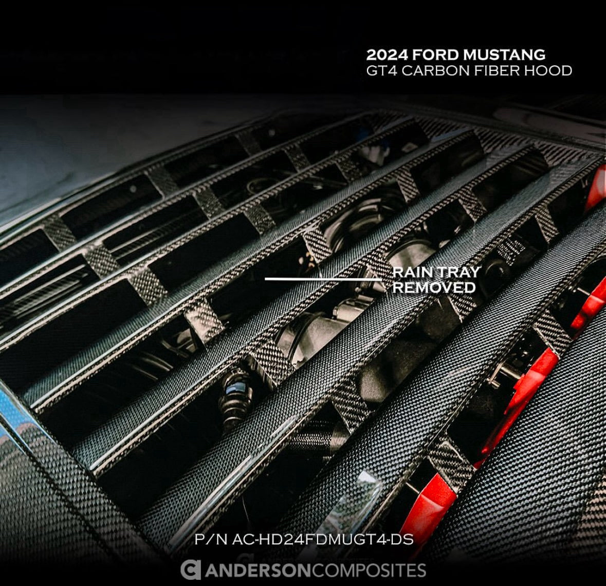 Anderson Composites 2024 Ford Mustang Type-GT4 Double Sided Carbon Fiber Hood