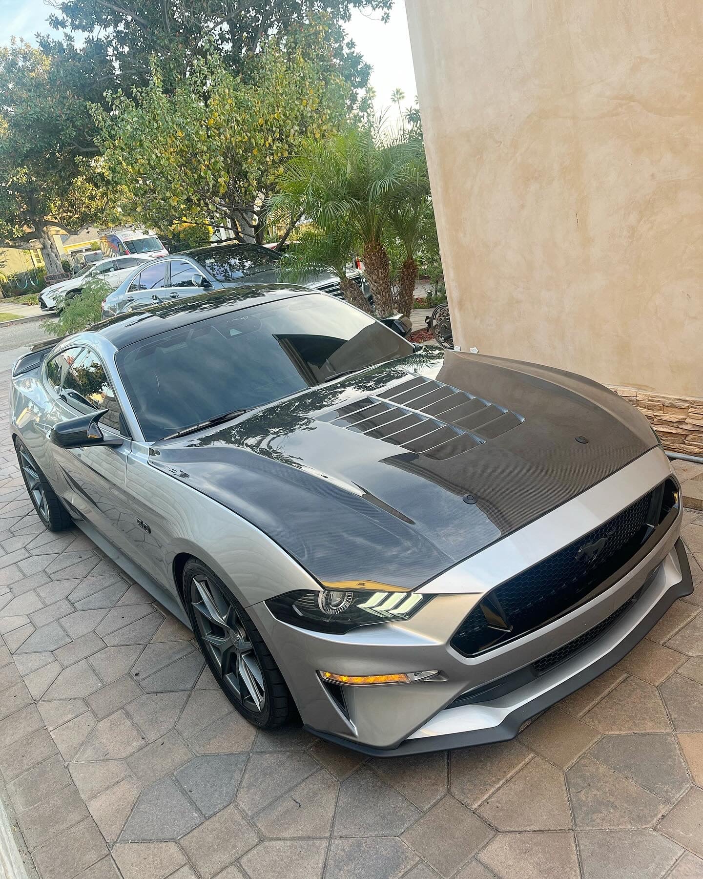 Anderson Composites 2018-2023 FORD MUSTANG DOUBLE SIDED TYPE-GT5 CARBON FIBER HOOD