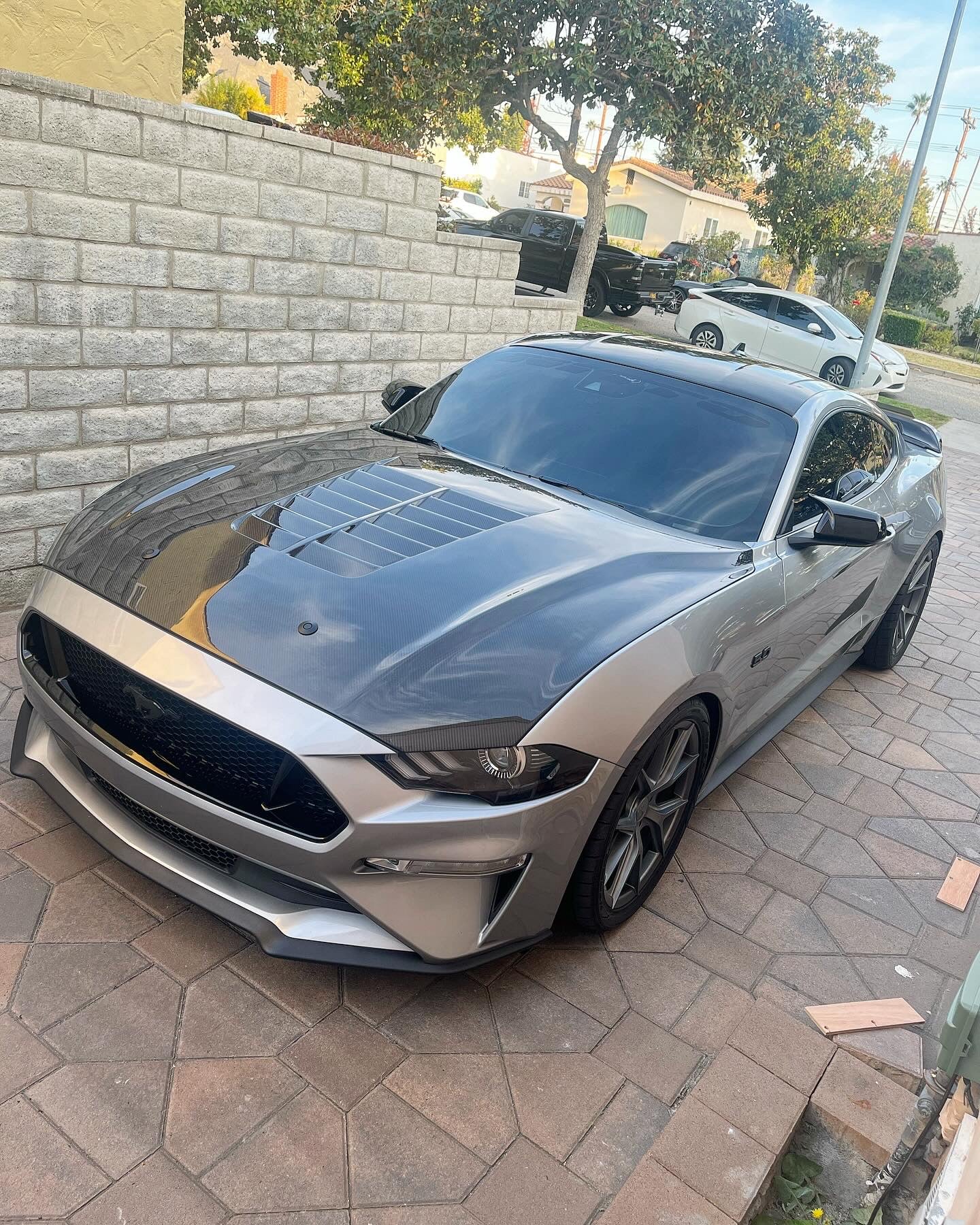 Anderson Composites 2018-2023 FORD MUSTANG DOUBLE SIDED TYPE-GT5 CARBON FIBER HOOD