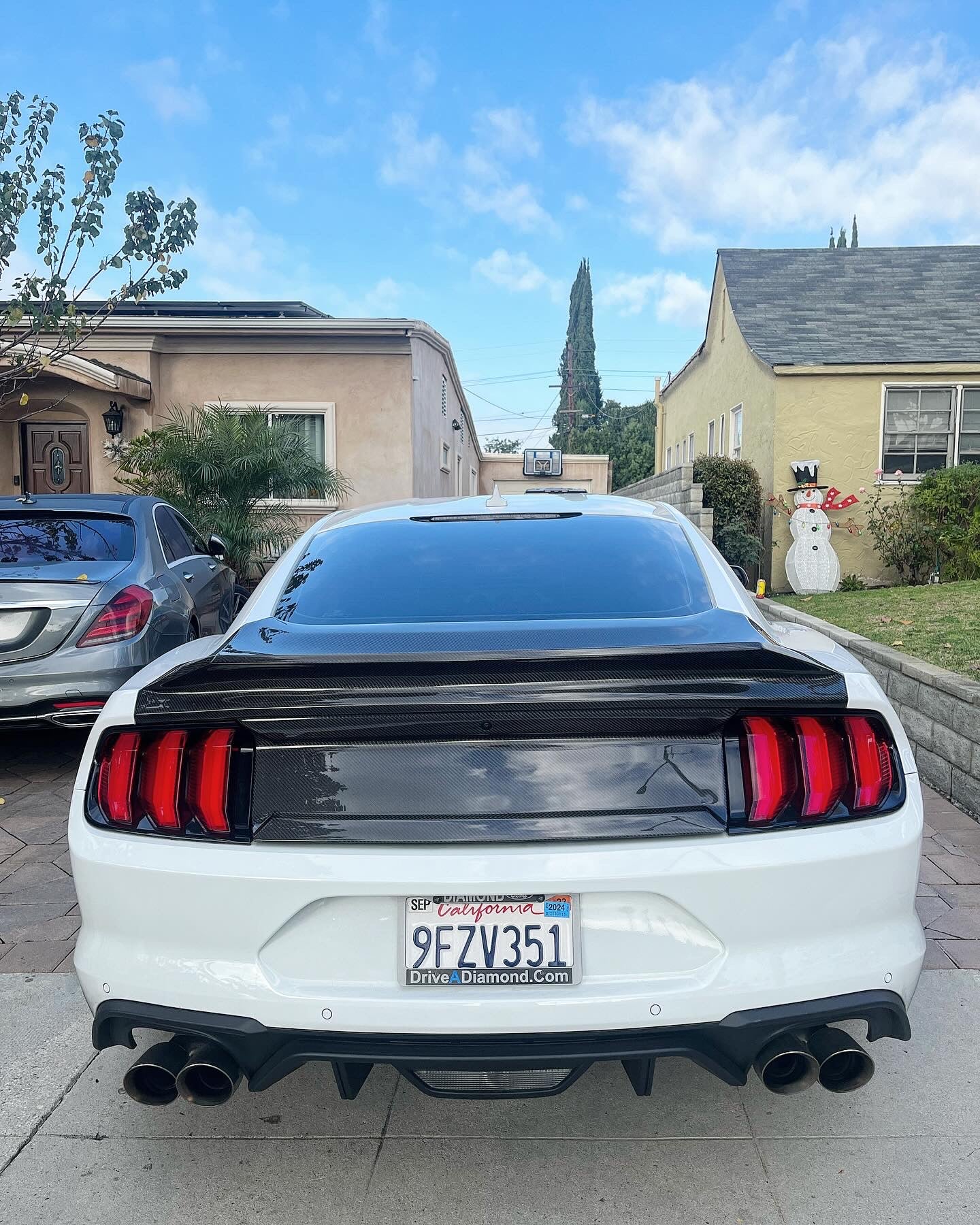 2015-2023 MUSTANG DOUBLE SIDED CARBON FIBER TYPE-ST DECKLID WITH INTEGRATED SPOILER