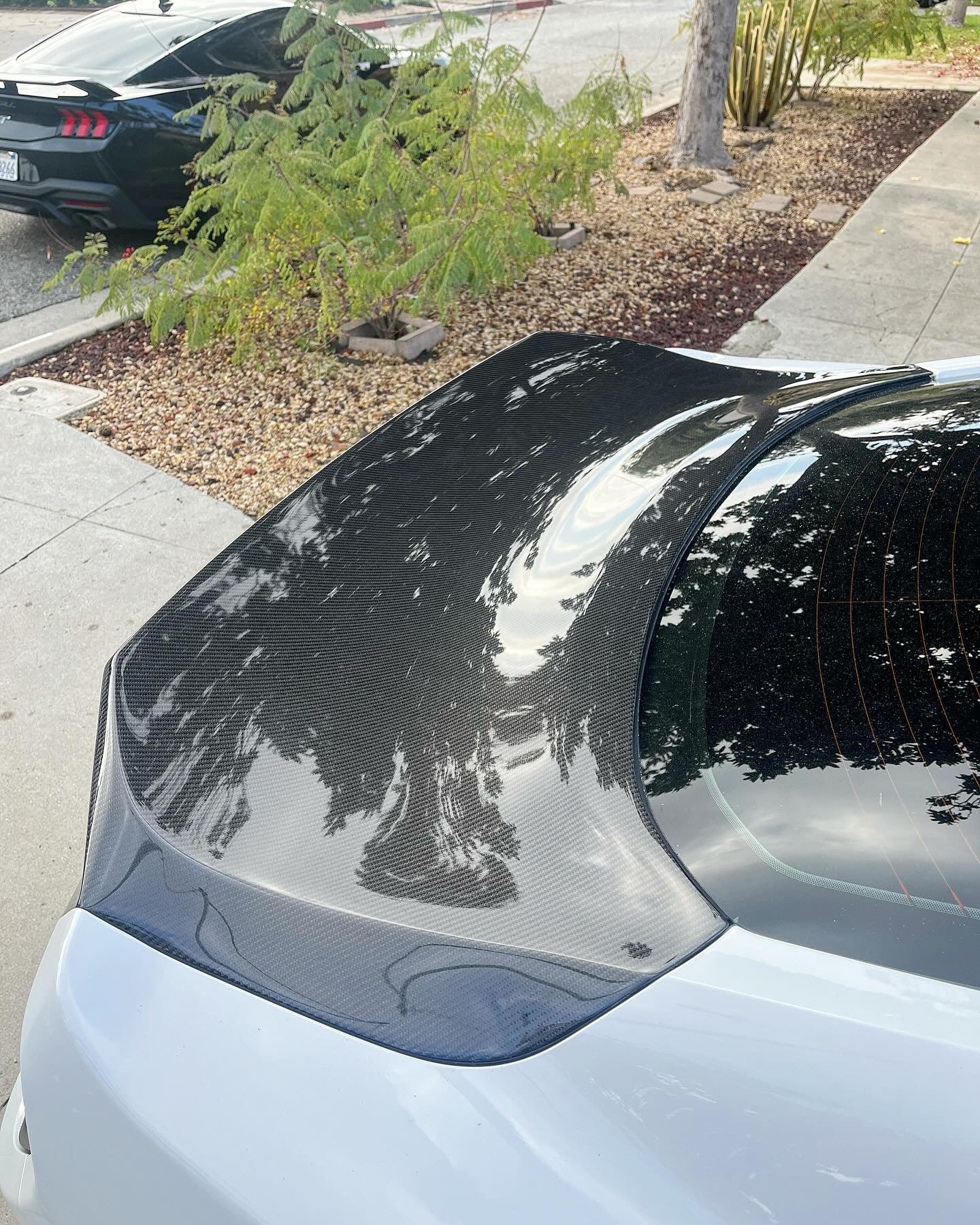 2015-2023 MUSTANG DOUBLE SIDED CARBON FIBER TYPE-ST DECKLID WITH INTEGRATED SPOILER