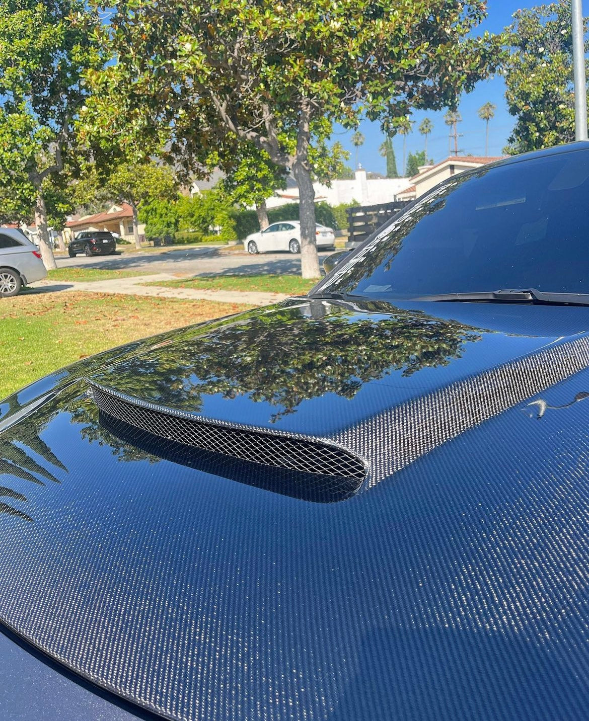 2015 - 2023 DODGE CHARGER TYPE-DM (DEMON STYLE) CARBON FIBER HOOD