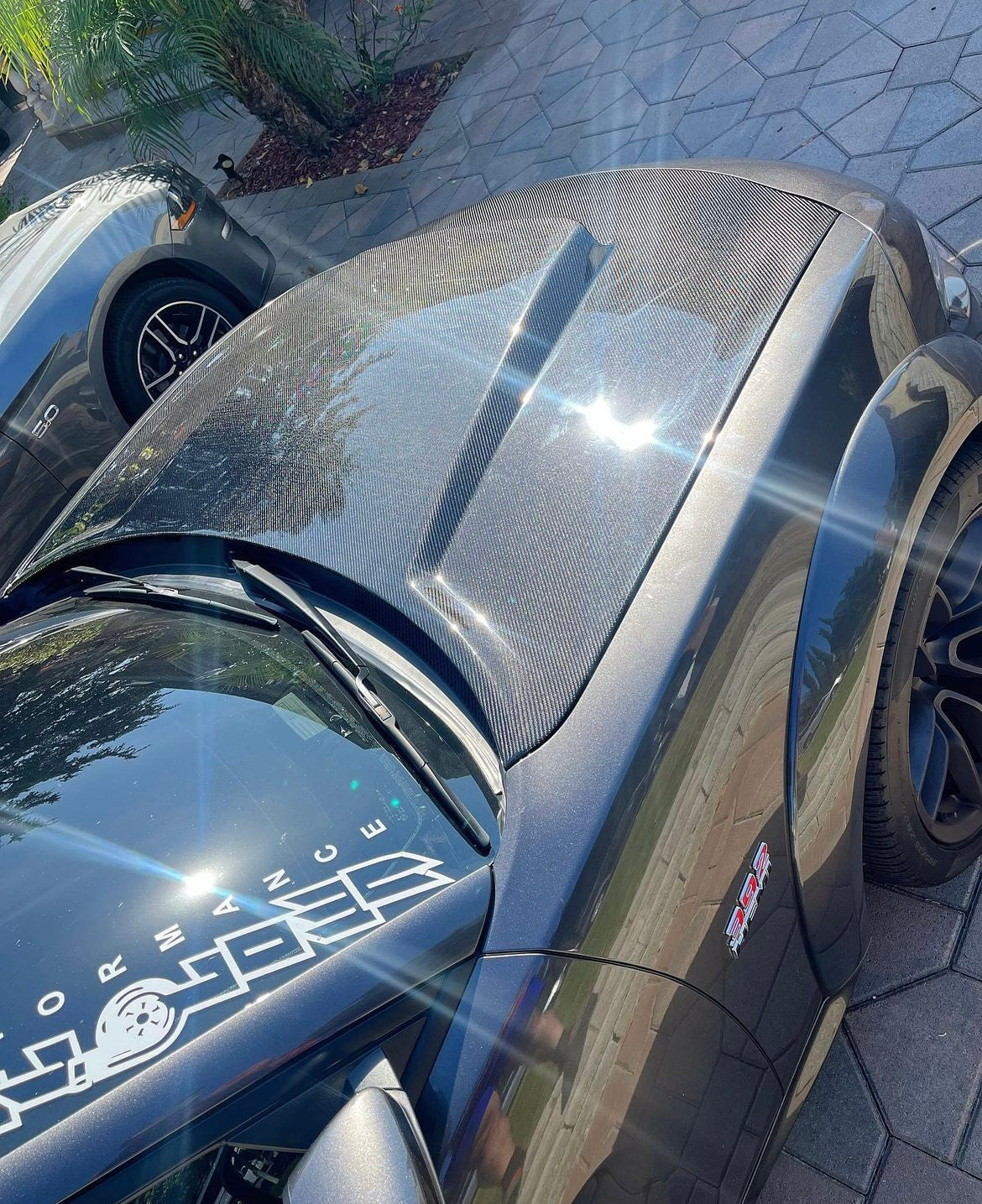 2015 - 2023 DODGE CHARGER TYPE-DM (DEMON STYLE) CARBON FIBER HOOD