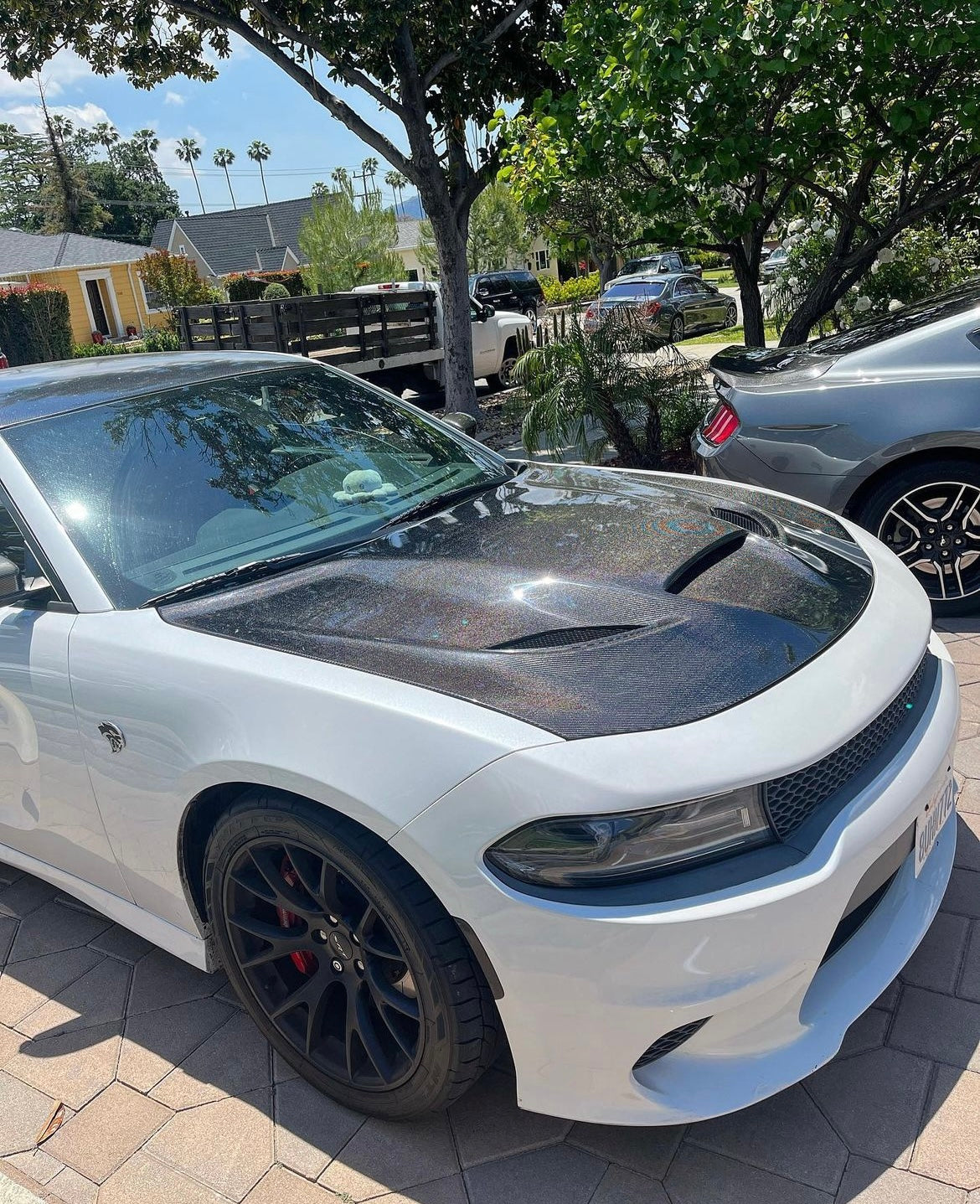 2015 - 2023 DODGE CHARGER HELLCAT TYPE-OE CARBON FIBER HOOD