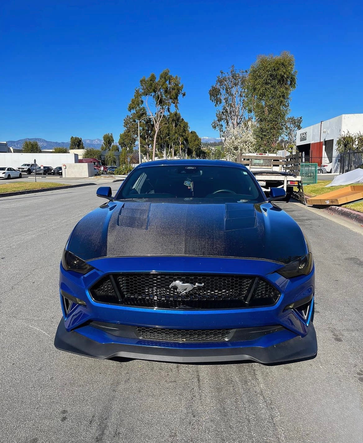 2018-2023 FORD MUSTANG TYPE-SA DOUBLE SIDED CARBON FIBER HEAT EXTRACTOR HOOD