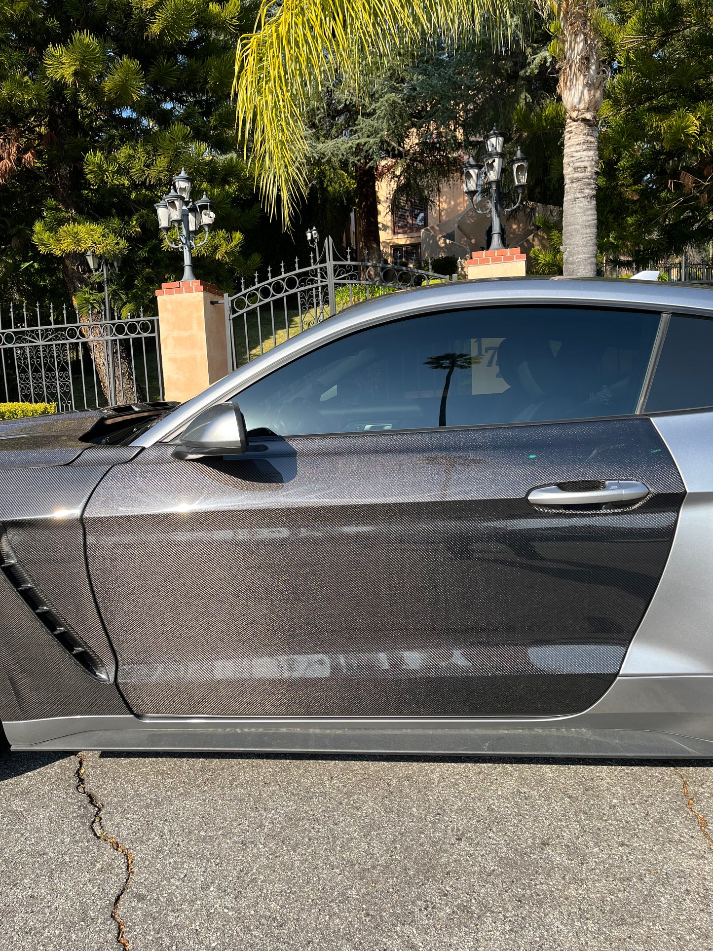 2015 - 2023 CARBON FIBER MUSTANG DOORS (PAIR)