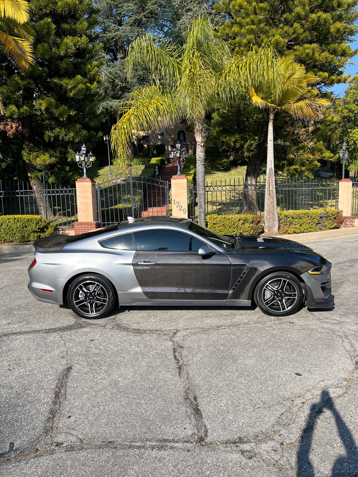 2015 - 2023 CARBON FIBER MUSTANG DOORS (PAIR)