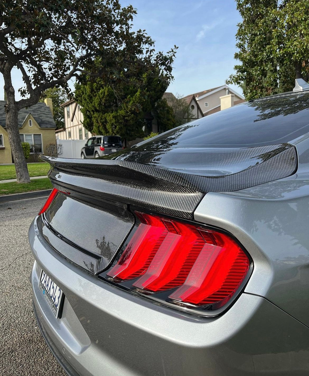 2015-2023 MUSTANG DOUBLE SIDED CARBON FIBER TYPE-ST DECKLID WITH INTEGRATED SPOILER