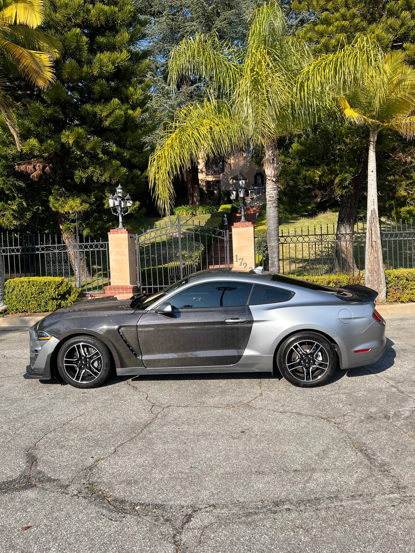 2015 - 2023 CARBON FIBER MUSTANG DOORS (PAIR)