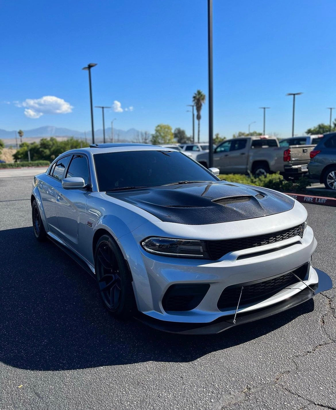 2015 - 2023 DODGE CHARGER HELLCAT TYPE-OE CARBON FIBER HOOD