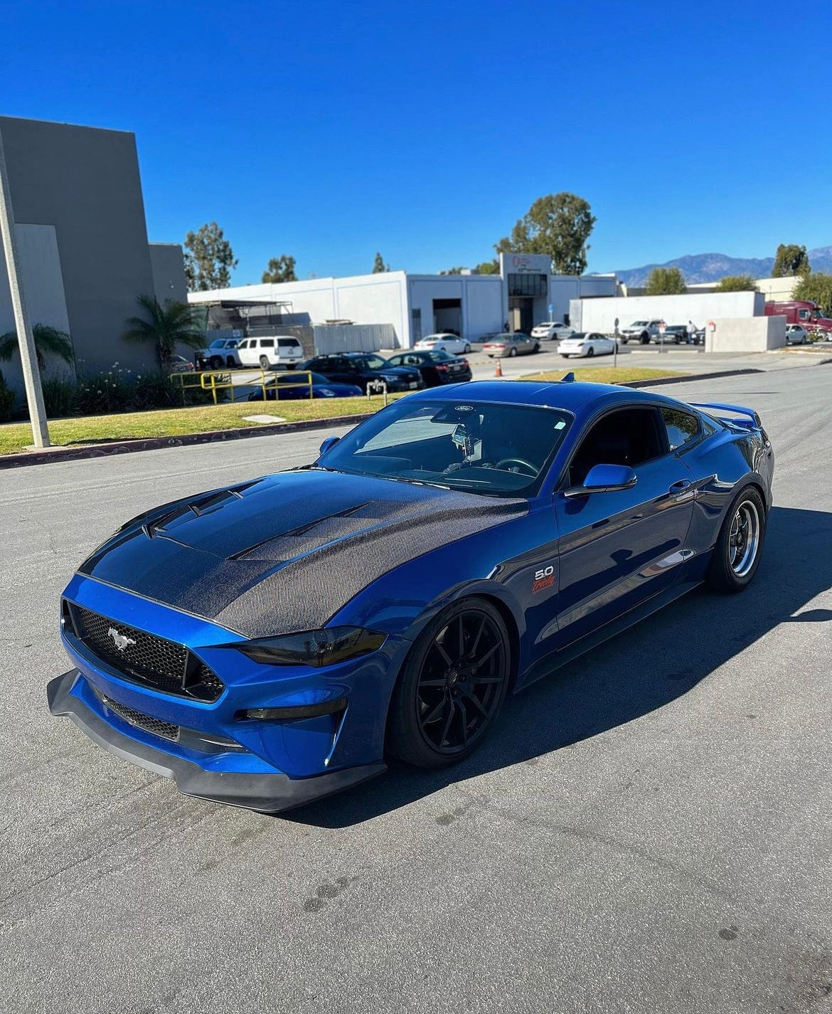 2018-2023 FORD MUSTANG TYPE-SA DOUBLE SIDED CARBON FIBER HEAT EXTRACTOR HOOD