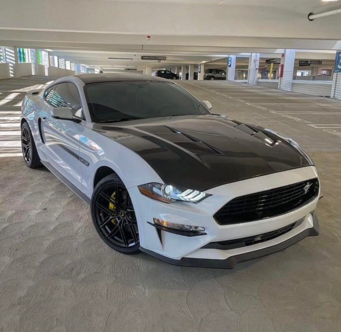 2018-2023 FORD MUSTANG TYPE-SA DOUBLE SIDED CARBON FIBER HEAT EXTRACTOR HOOD