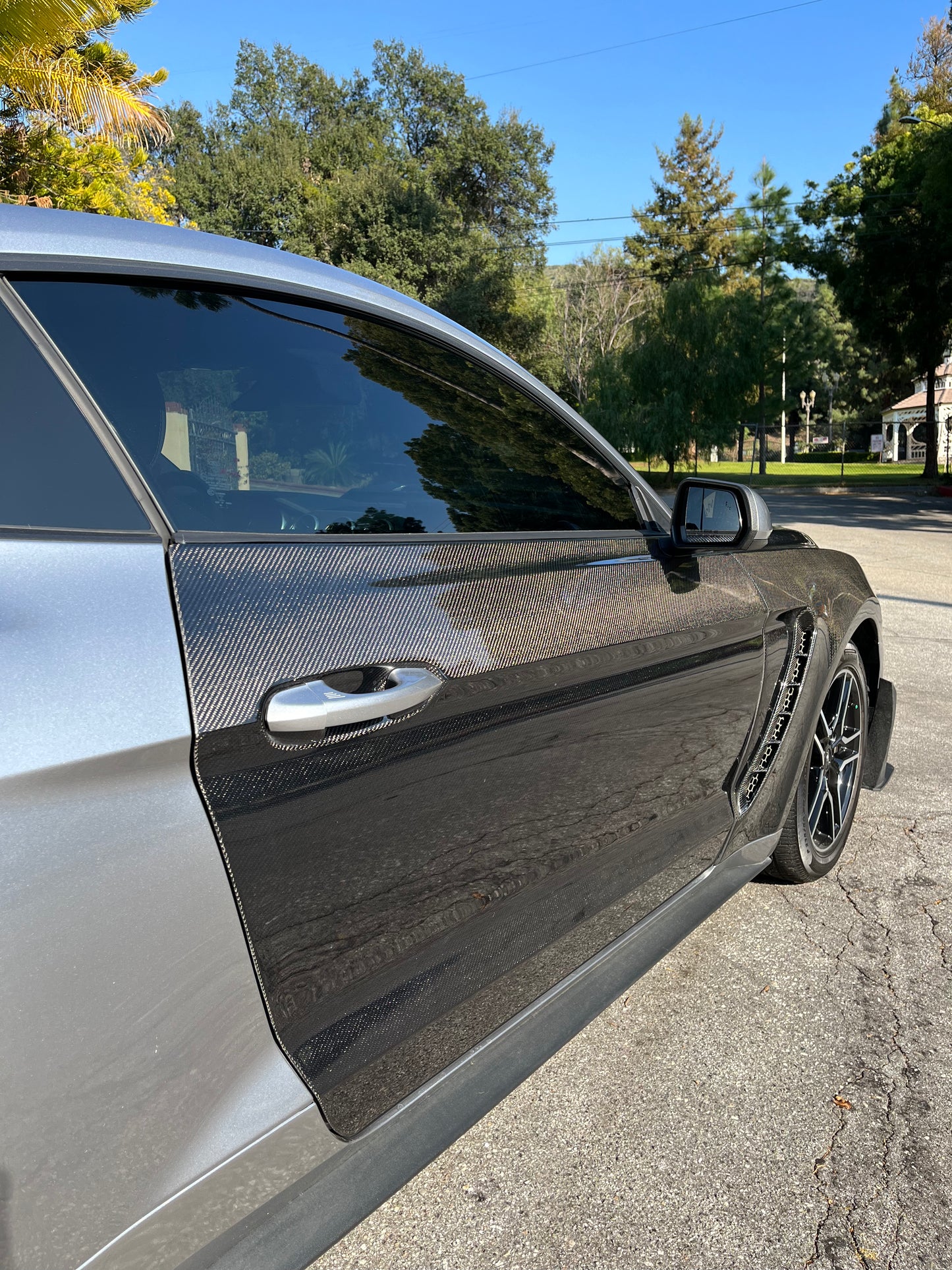 2015 - 2023 CARBON FIBER MUSTANG DOORS (PAIR)