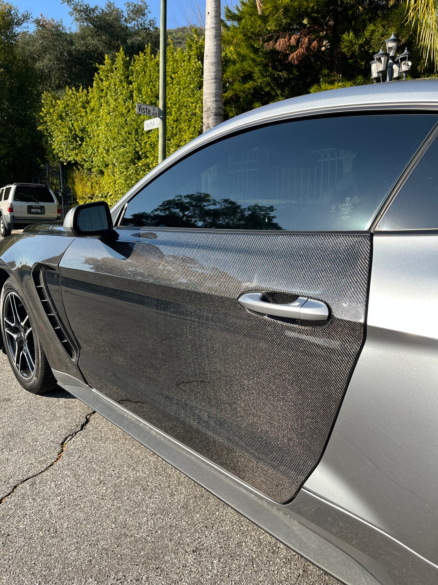 2015 - 2023 CARBON FIBER MUSTANG DOORS (PAIR)