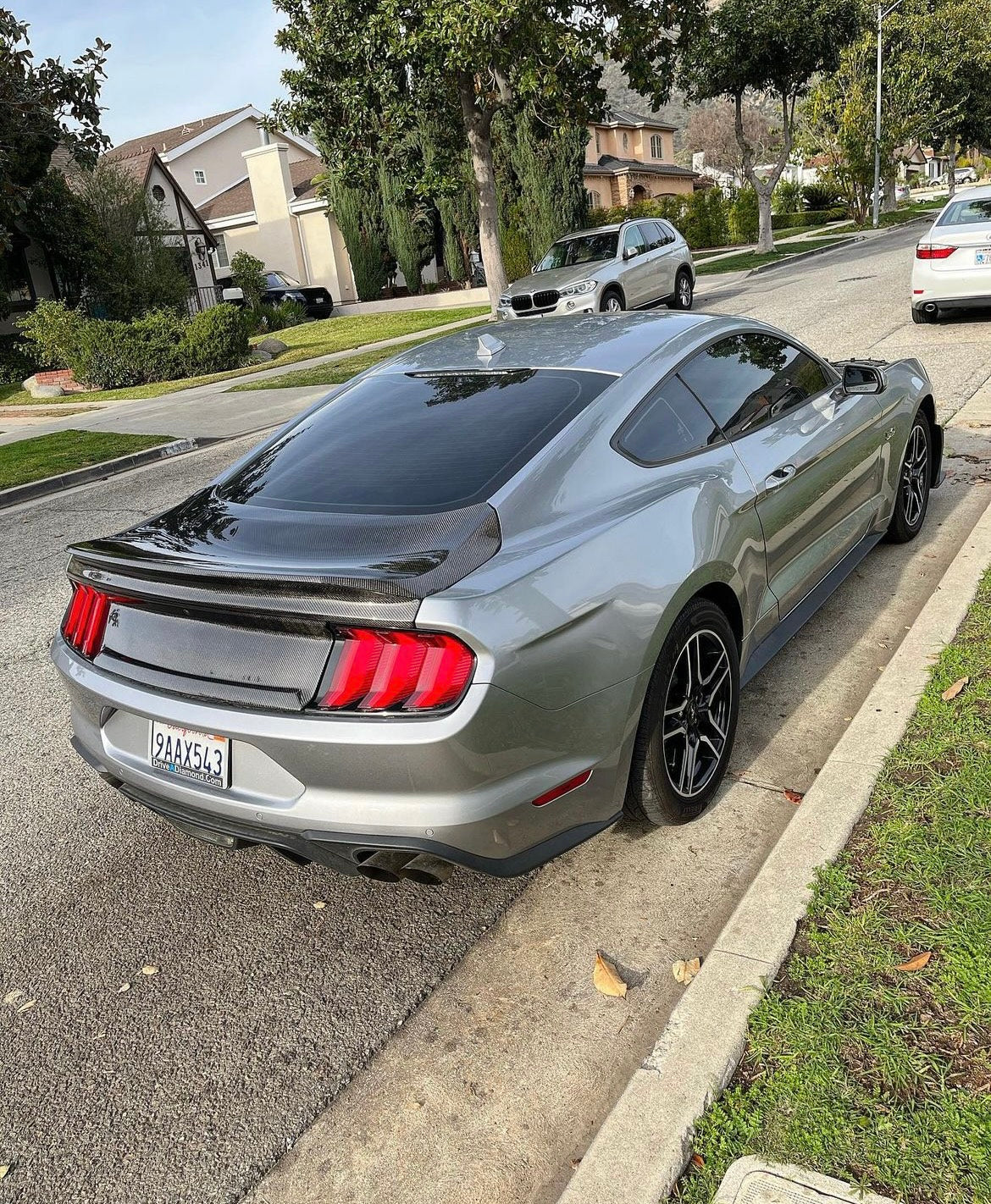 2015-2023 MUSTANG DOUBLE SIDED CARBON FIBER TYPE-ST DECKLID WITH INTEGRATED SPOILER