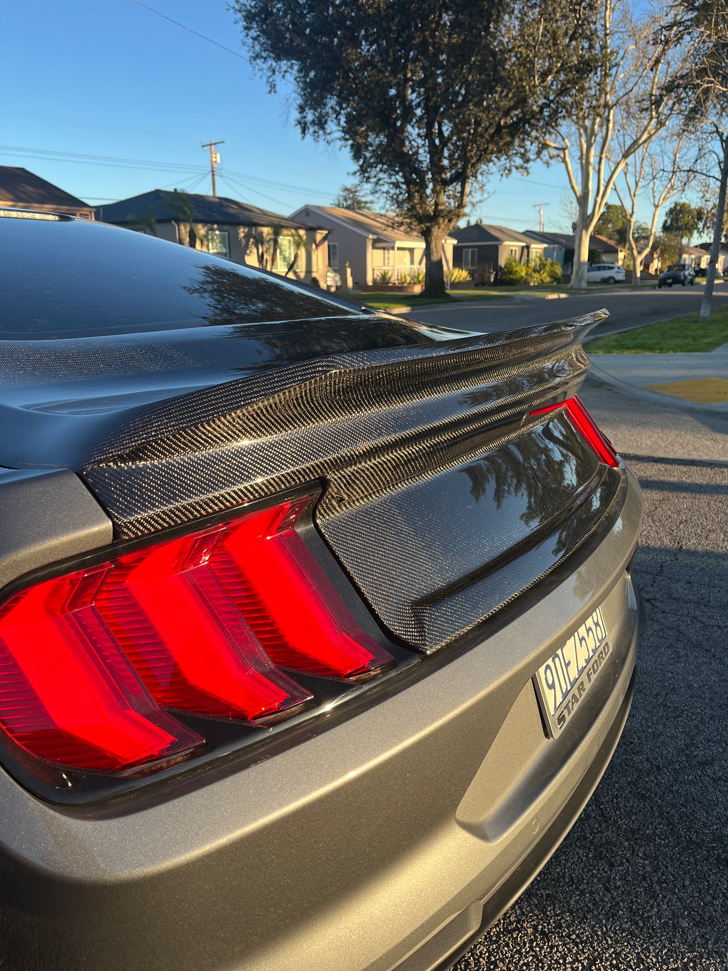 2015-2023 MUSTANG DOUBLE SIDED CARBON FIBER TYPE-ST DECKLID WITH INTEGRATED SPOILER