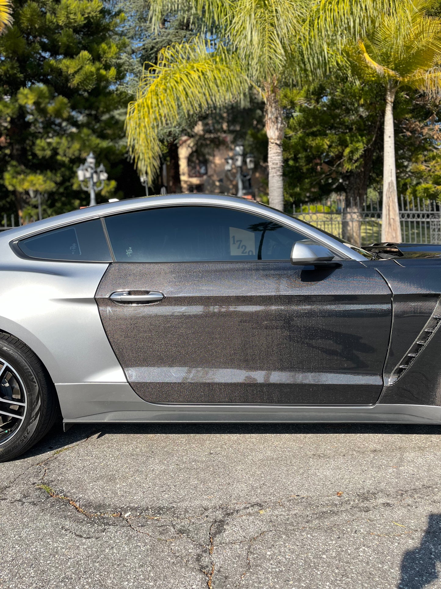 2015 - 2023 CARBON FIBER MUSTANG DOORS (PAIR)
