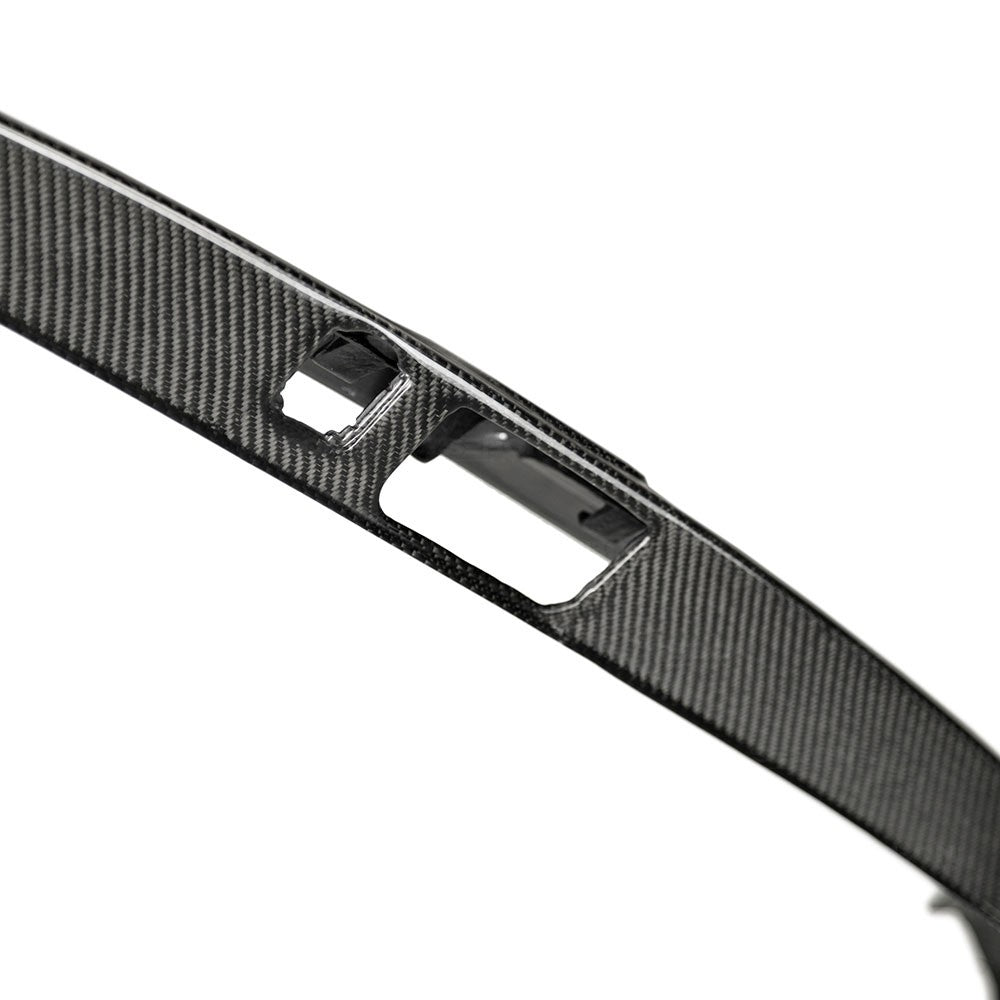 Seibon Carbon 2017-2021 HONDA CIVIC TYPE R CARBON FIBER REAR LICENSE TRIM