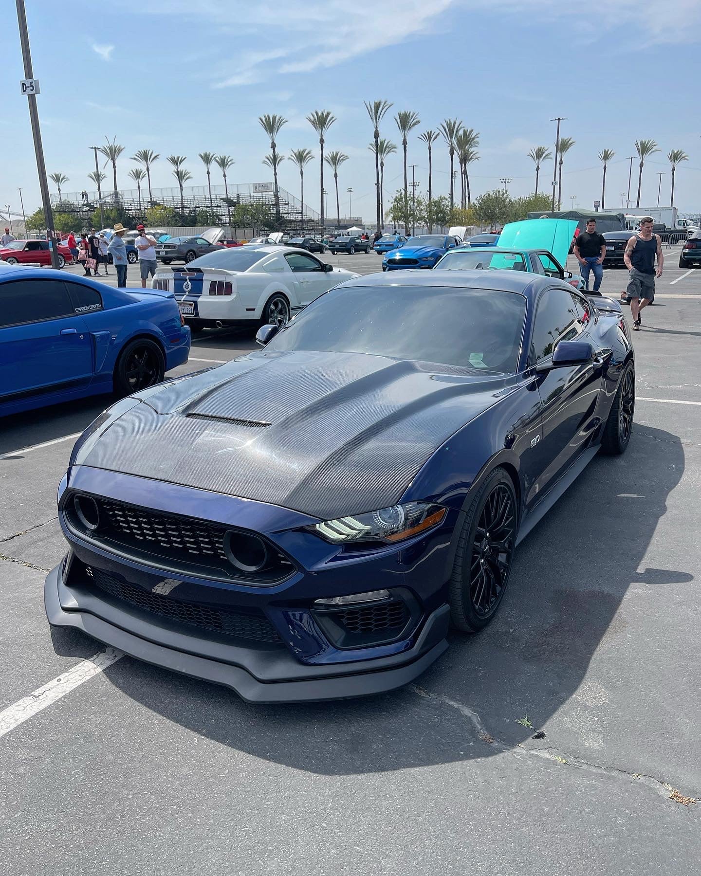 Anderson Composites 2018-2023 FORD MUSTANG TYPE-GR DOUBLE SIDED CARBON FIBER HOOD