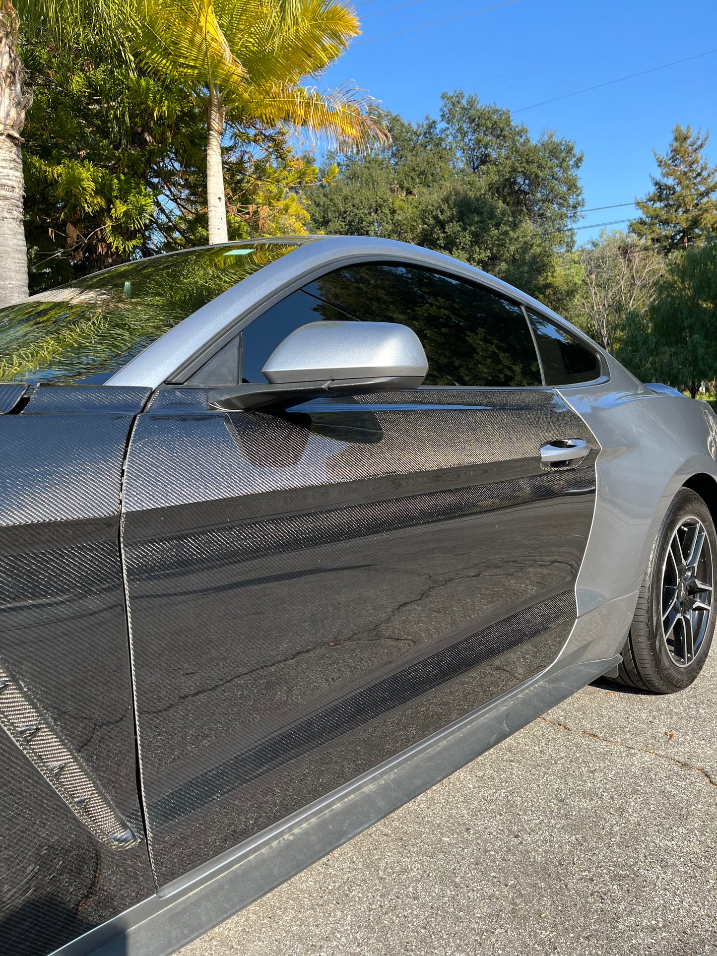 2015 - 2023 CARBON FIBER MUSTANG DOORS (PAIR)