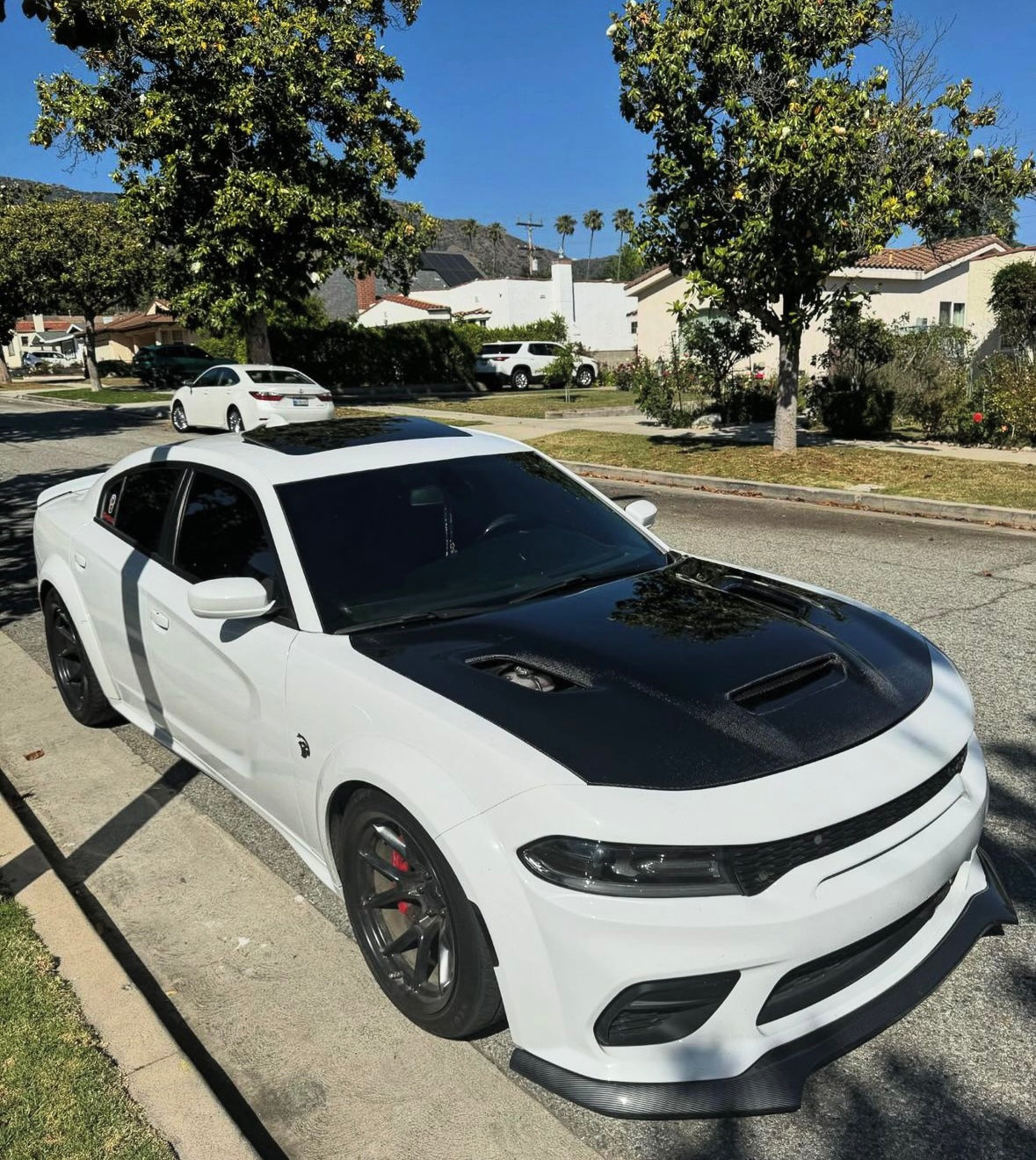 Anderson Composites 2022-2023 DODGE CHARGER HELLCAT JAIL BREAK CARBON FIBER HOOD