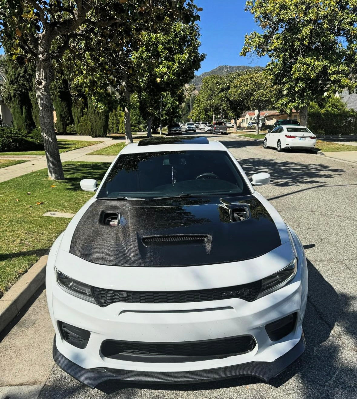Anderson Composites 2022-2023 DODGE CHARGER HELLCAT JAIL BREAK CARBON FIBER HOOD
