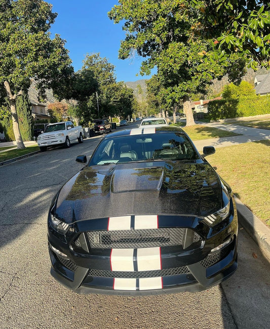 Anderson Composites 2015-2020 MUSTANG SHELBY GT350 DOUBLE SIDED CARBON FIBER HOOD