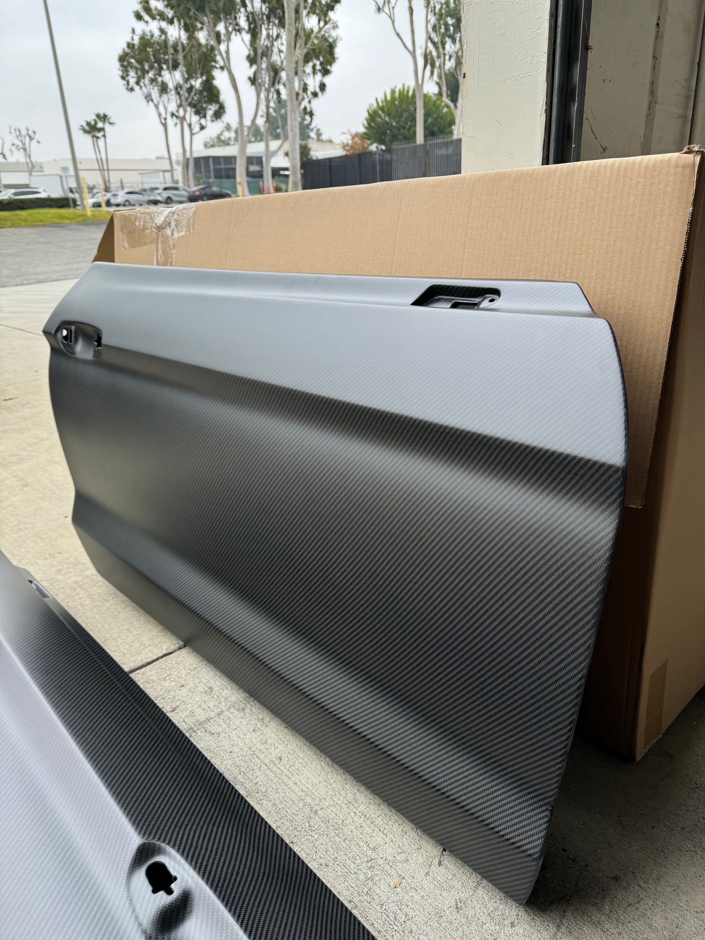 Anderson Composites 2015 - 2023 MUSTANG DRY CARBON FIBER DOORS (PAIR)