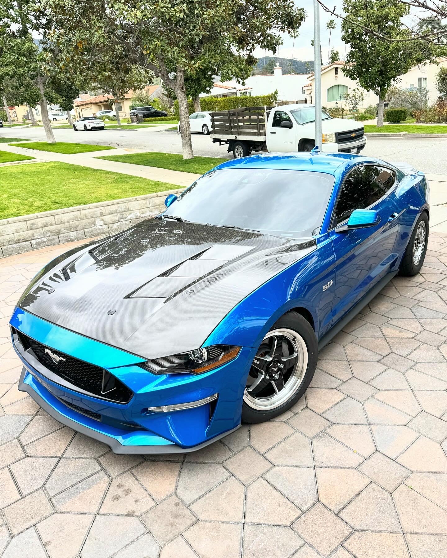2018-2023 FORD MUSTANG TYPE-SA DOUBLE SIDED CARBON FIBER HEAT EXTRACTOR HOOD