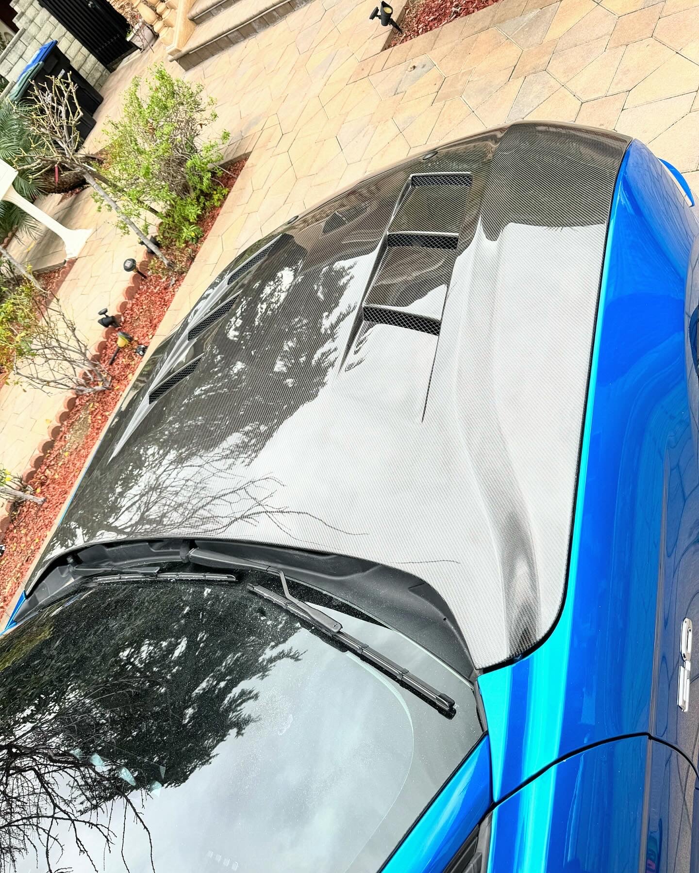 2018-2023 FORD MUSTANG TYPE-SA DOUBLE SIDED CARBON FIBER HEAT EXTRACTOR HOOD