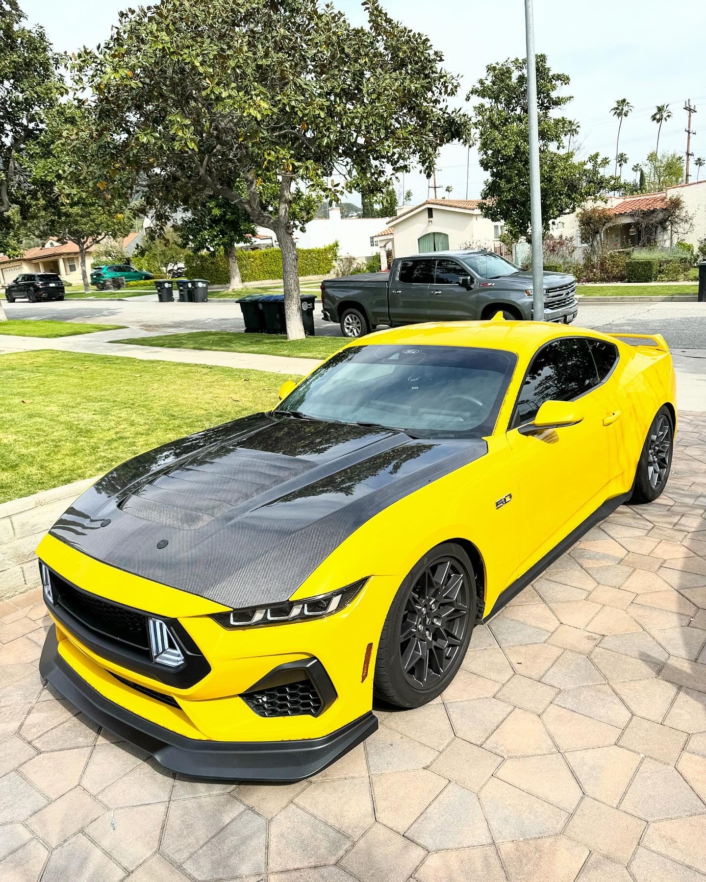 Anderson Composites 2024 FORD MUSTANG TYPE-GT5 DOUBLE-SIDED CARBON FIBER HOOD