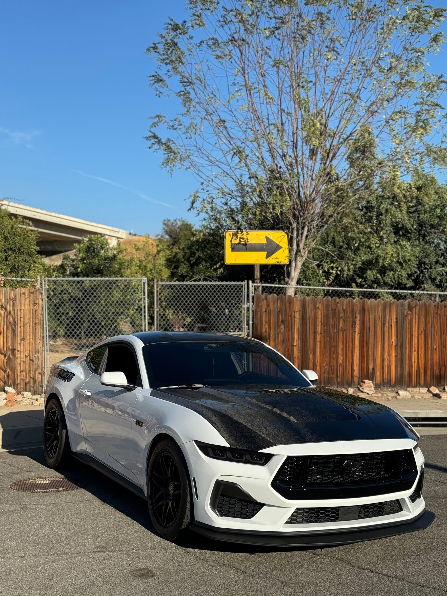 Anderson Composites 2024 FORD MUSTANG TYPE-GT5 DOUBLE-SIDED CARBON FIBER HOOD