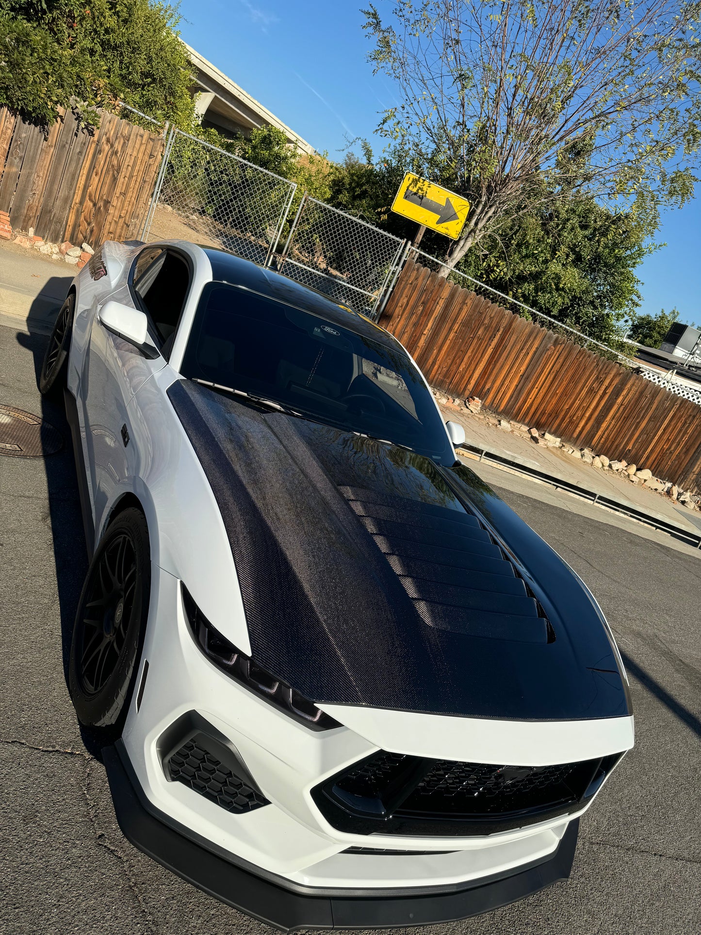 Anderson Composites 2024 FORD MUSTANG TYPE-GT5 DOUBLE-SIDED CARBON FIBER HOOD