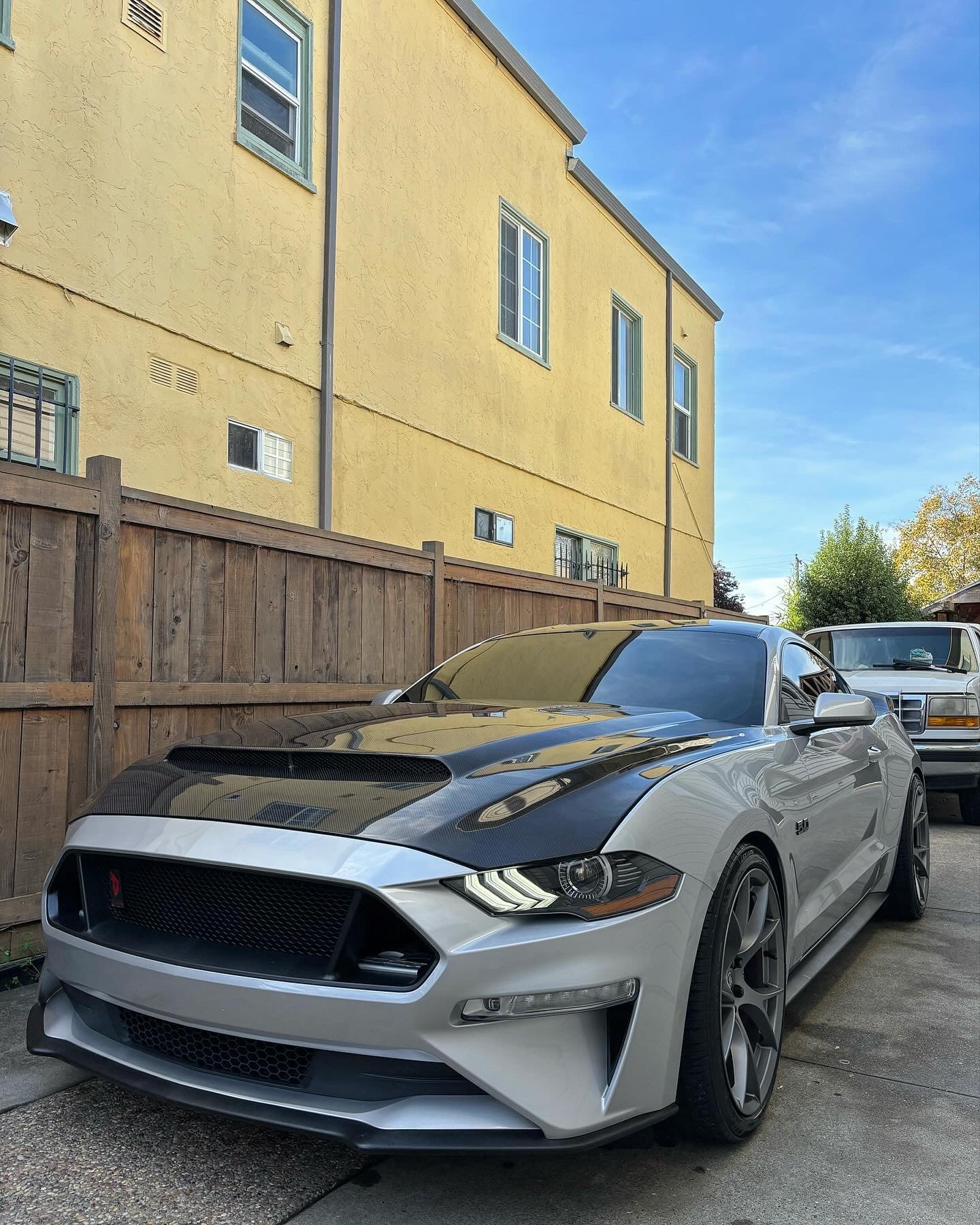 2018-2023 FORD MUSTANG SUPER SNAKE STYLE DOUBLE SIDED CARBON FIBER HOOD