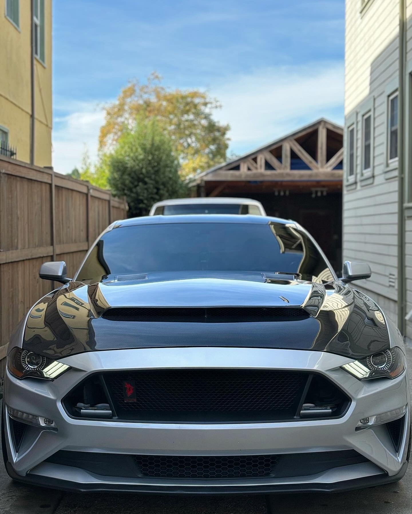 2018-2023 FORD MUSTANG SUPER SNAKE STYLE DOUBLE SIDED CARBON FIBER HOOD