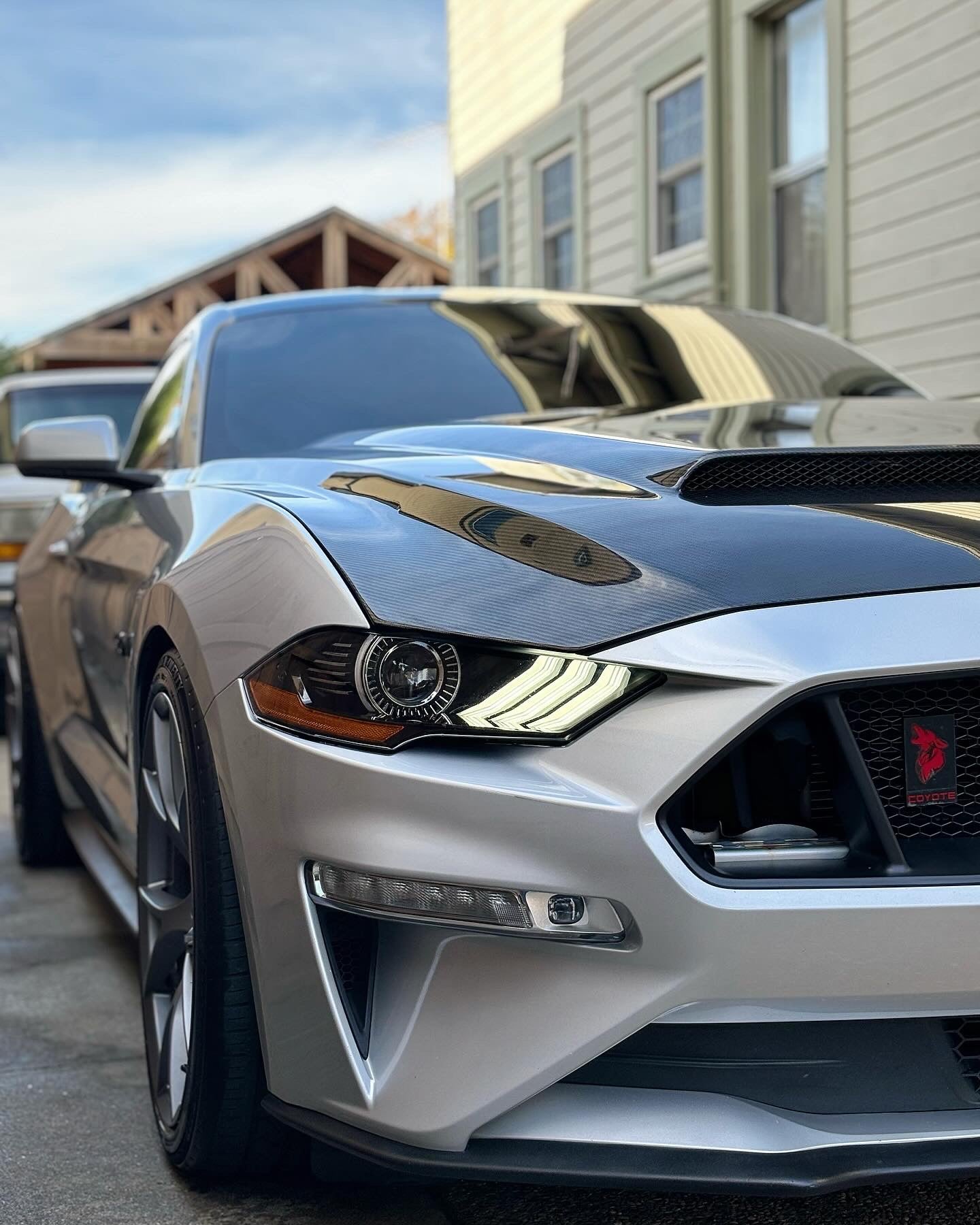 2018-2023 FORD MUSTANG SUPER SNAKE STYLE DOUBLE SIDED CARBON FIBER HOOD