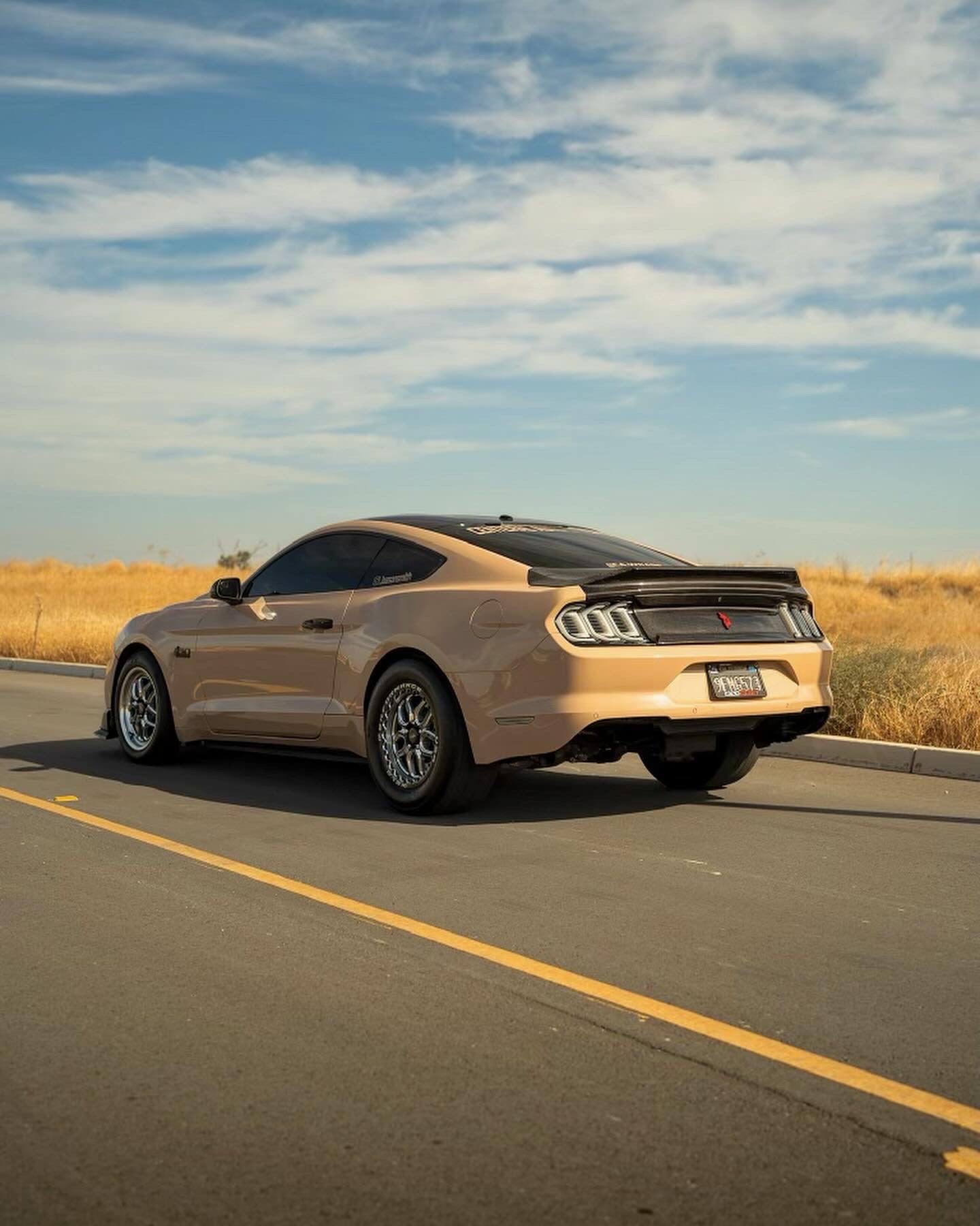 2015-2023 MUSTANG DOUBLE SIDED CARBON FIBER TYPE-ST DECKLID WITH INTEGRATED SPOILER