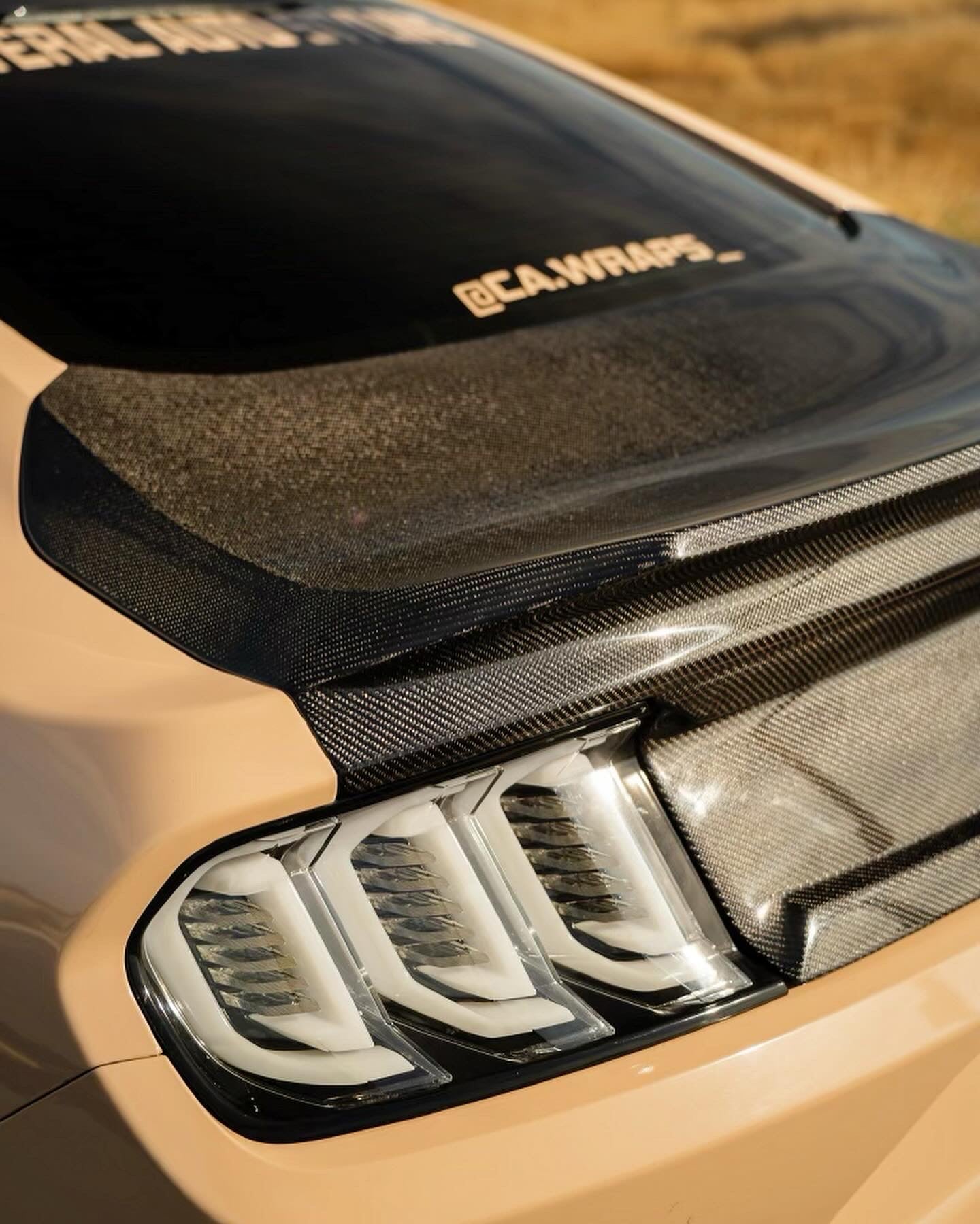 2015-2023 MUSTANG DOUBLE SIDED CARBON FIBER TYPE-ST DECKLID WITH INTEGRATED SPOILER