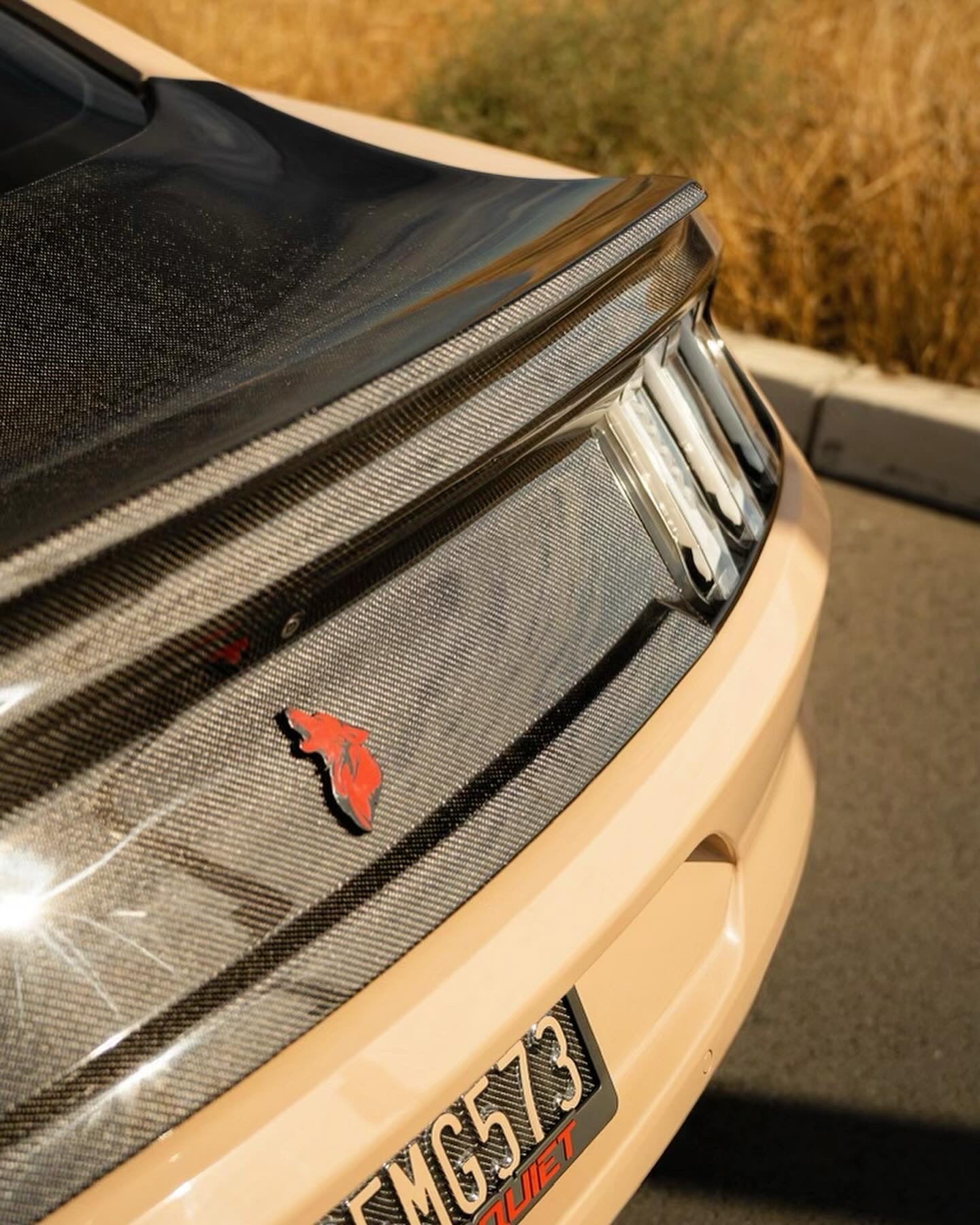 2015-2023 MUSTANG DOUBLE SIDED CARBON FIBER TYPE-ST DECKLID WITH INTEGRATED SPOILER